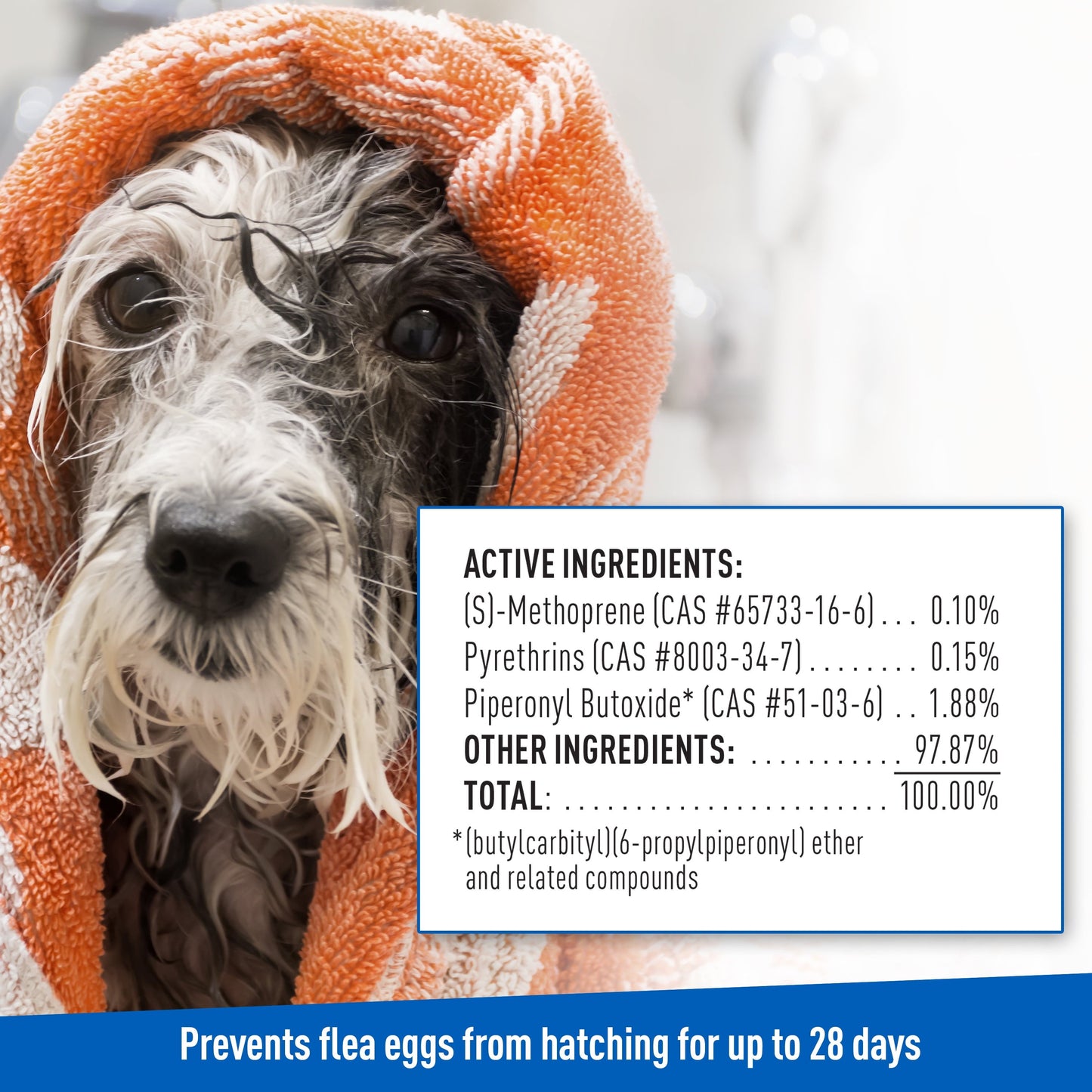 Flea and Tick Foaming Shampoo for Dogs 2-Pack