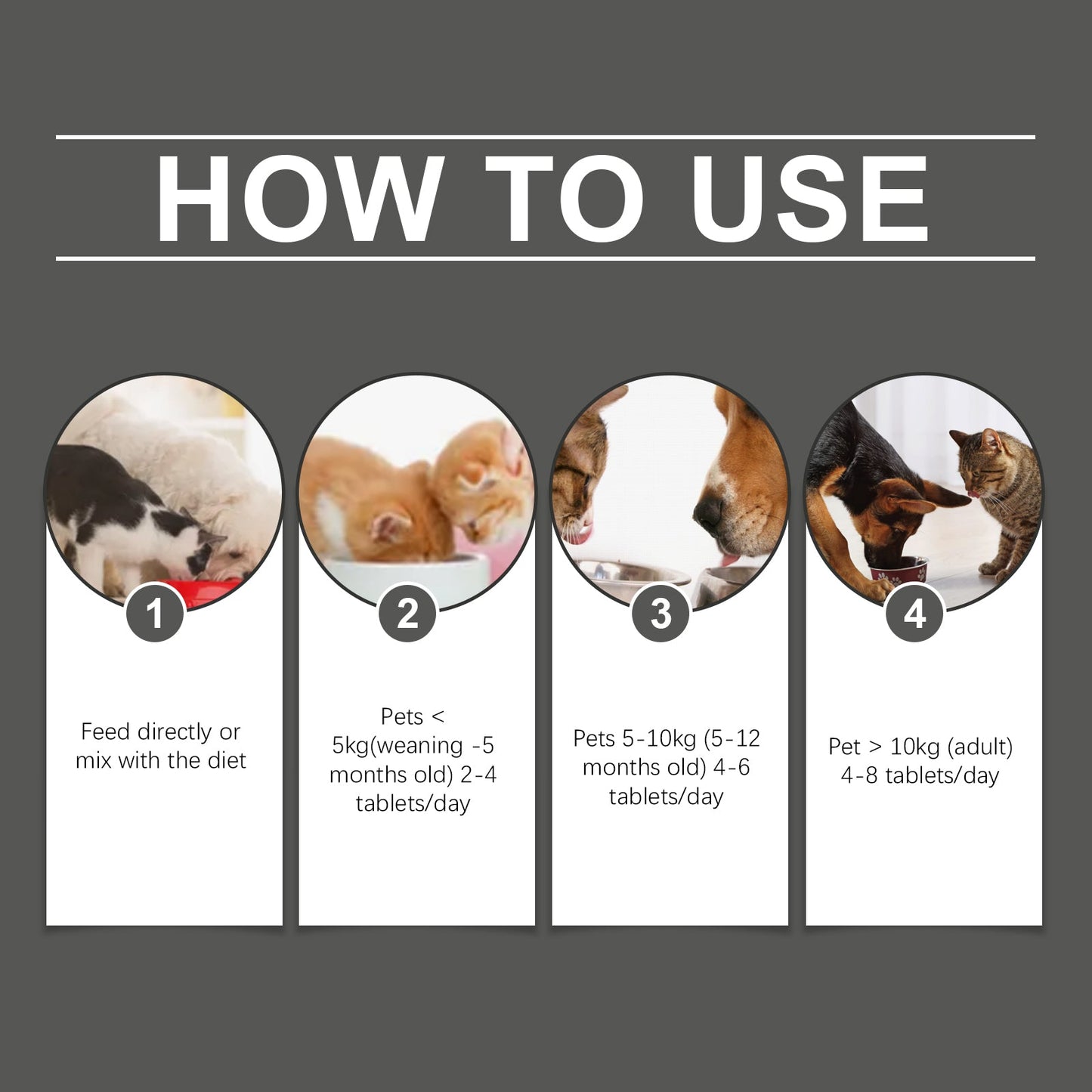General Compound Probiotic Tablets for Dogs and Cats: Digestive Support with Vitamin B2