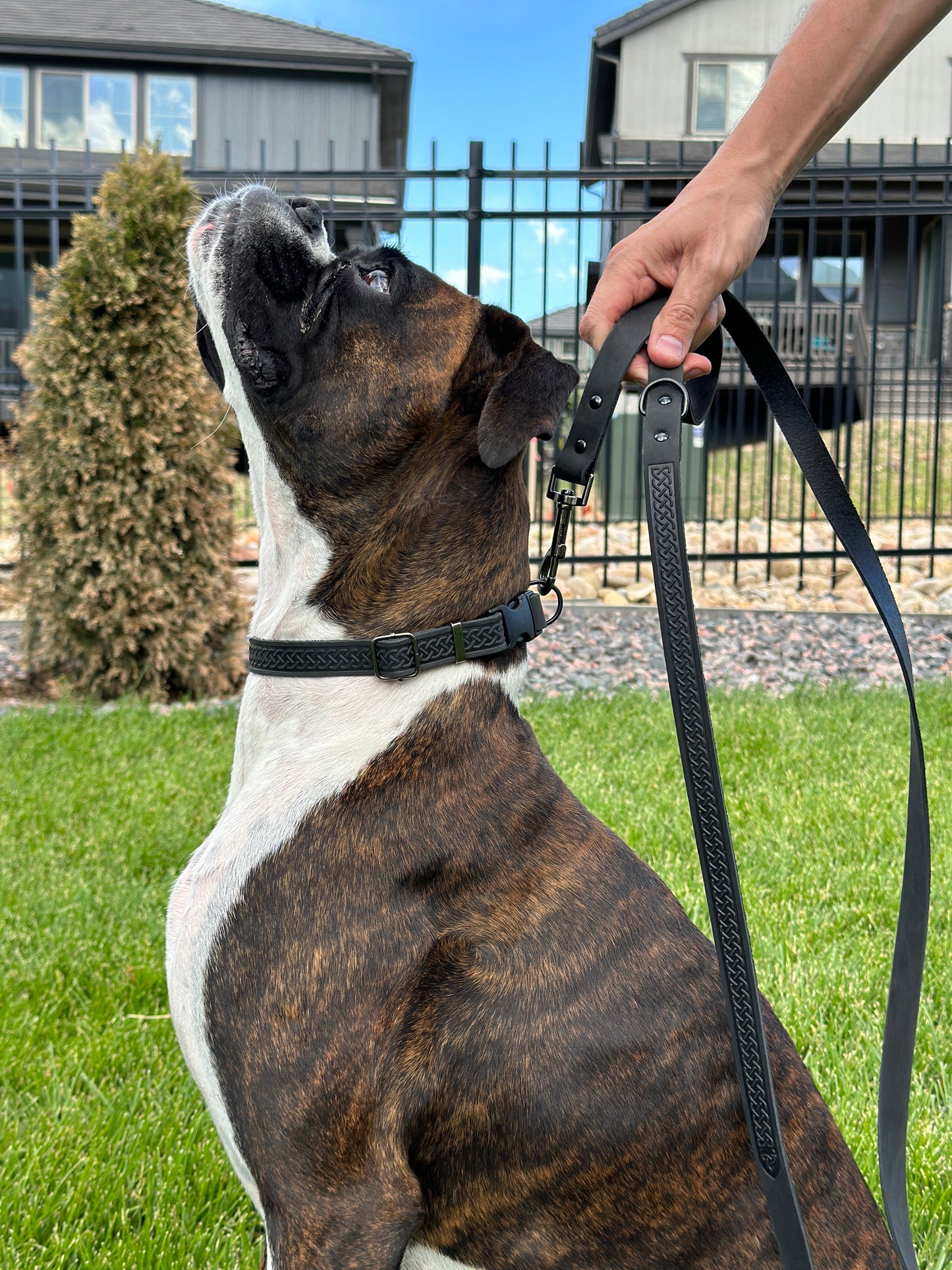 Celtic Sport Midnight Black Leather Dog Leash – Durable Full-Grain Leather with All-Black Hardware