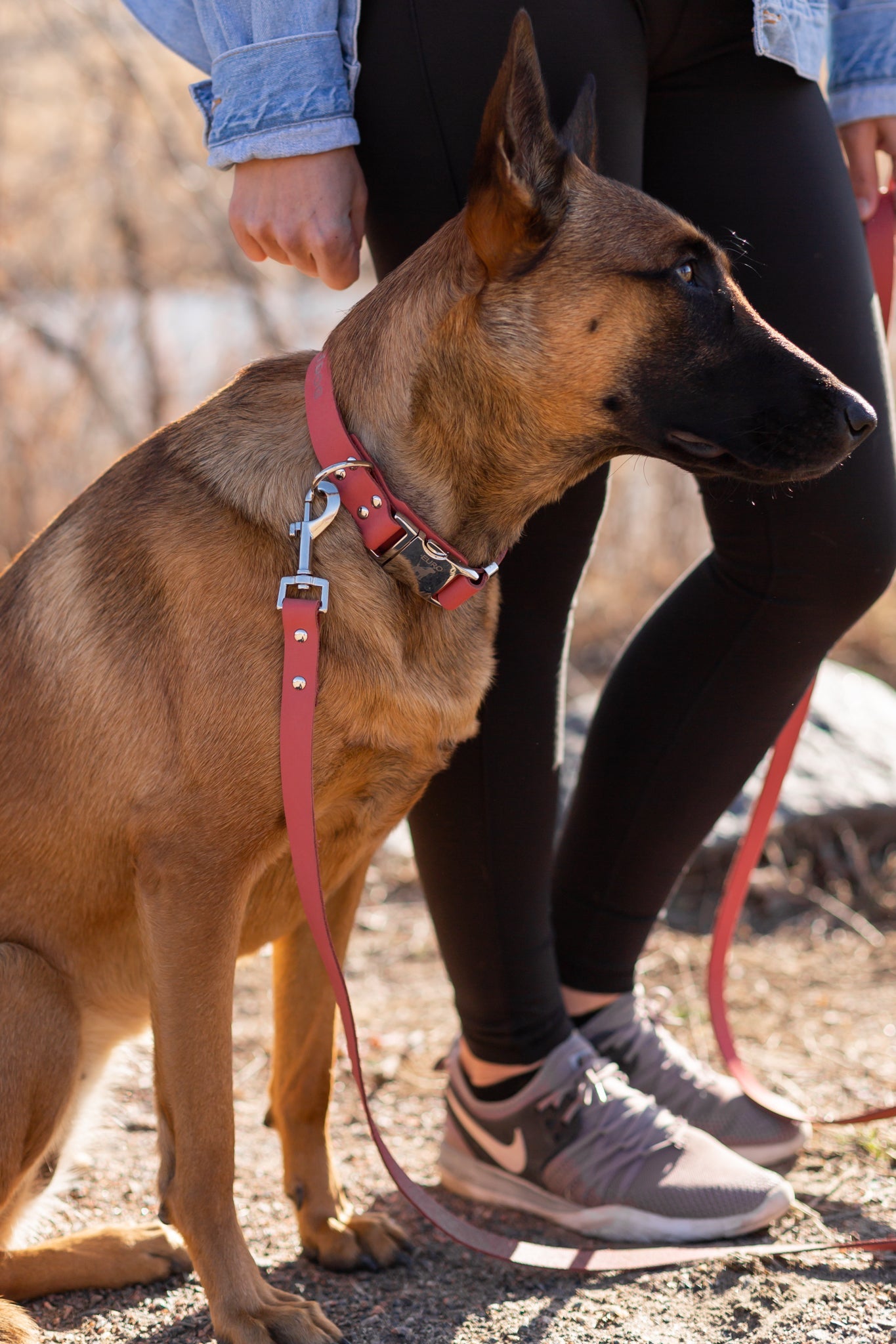 Red Leather Dog Leash - Modern Style Coral Reef Leather Leash