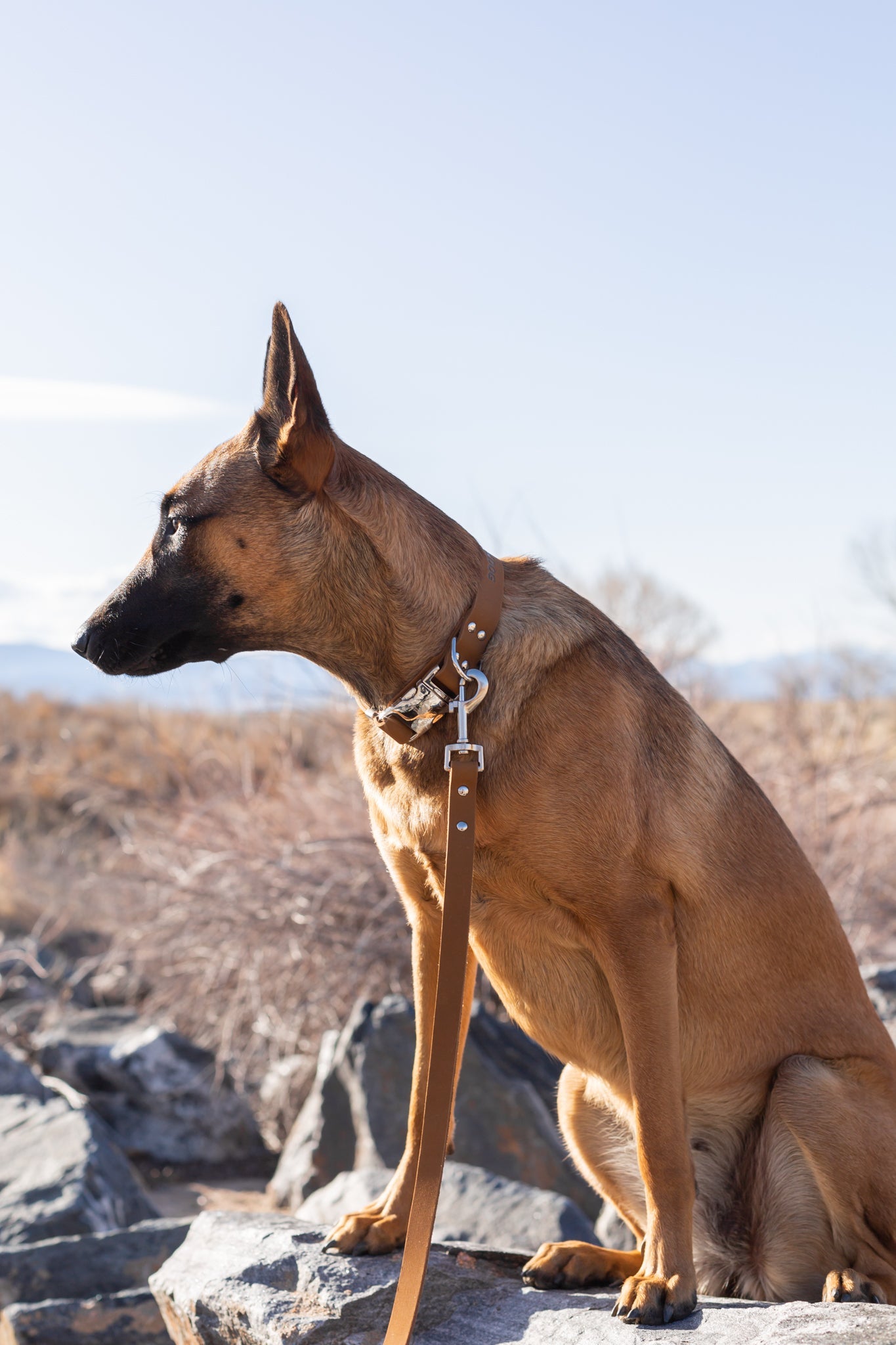 Modern Style Earth Brown Leather Dog Leash