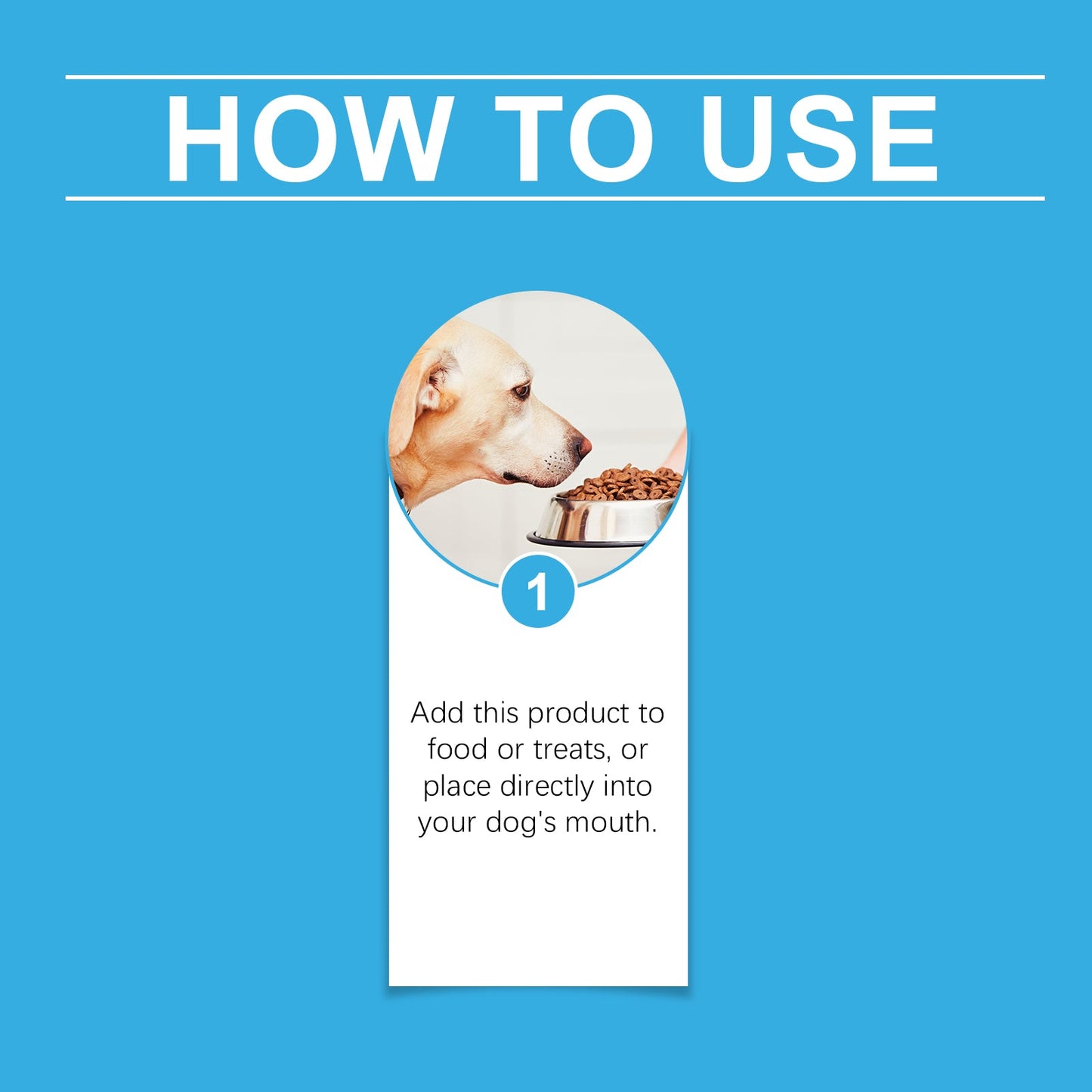 Dog Cough and Respiratory Relief Syrup: Immune Support with Sorbitol & Erythritol