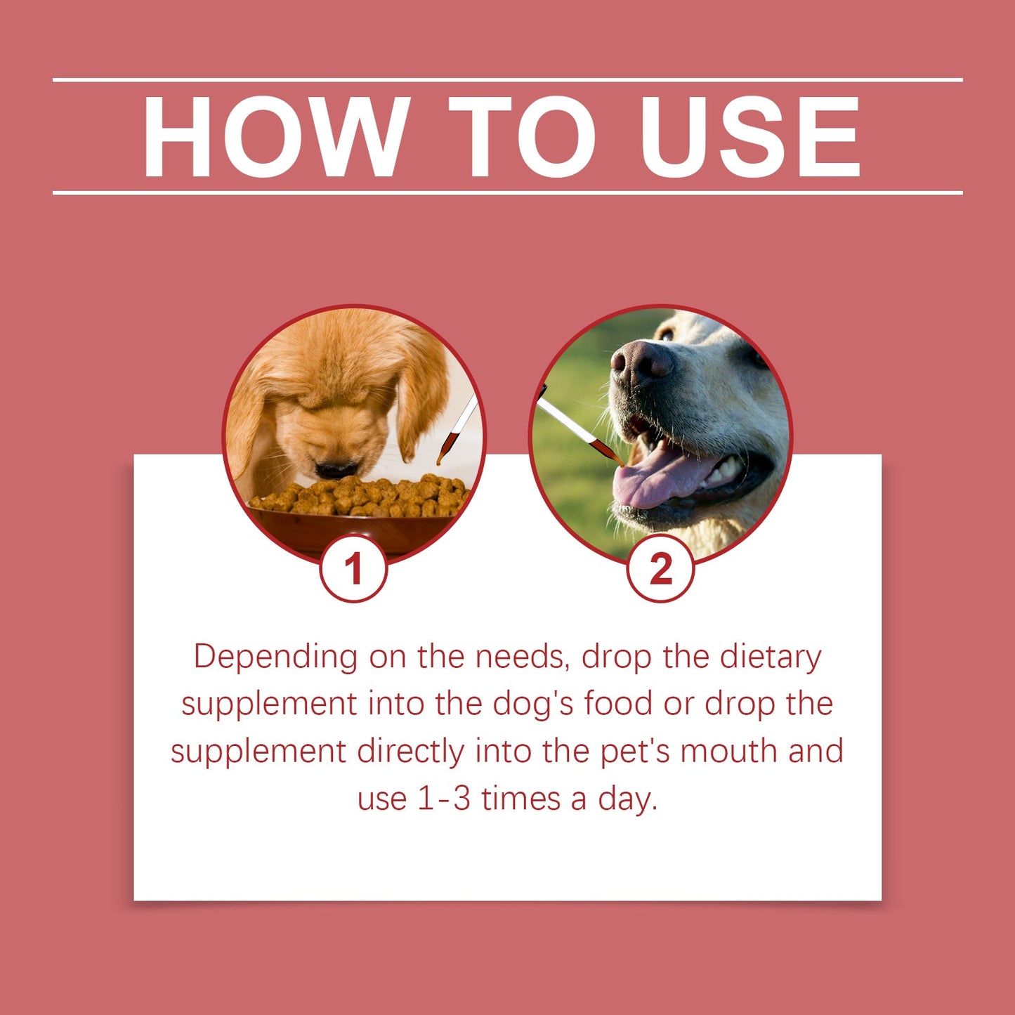 Iron Supplement Syrup for Dogs: Red Blood Cell Support with Peppermint Extract | 1-3 Daily
