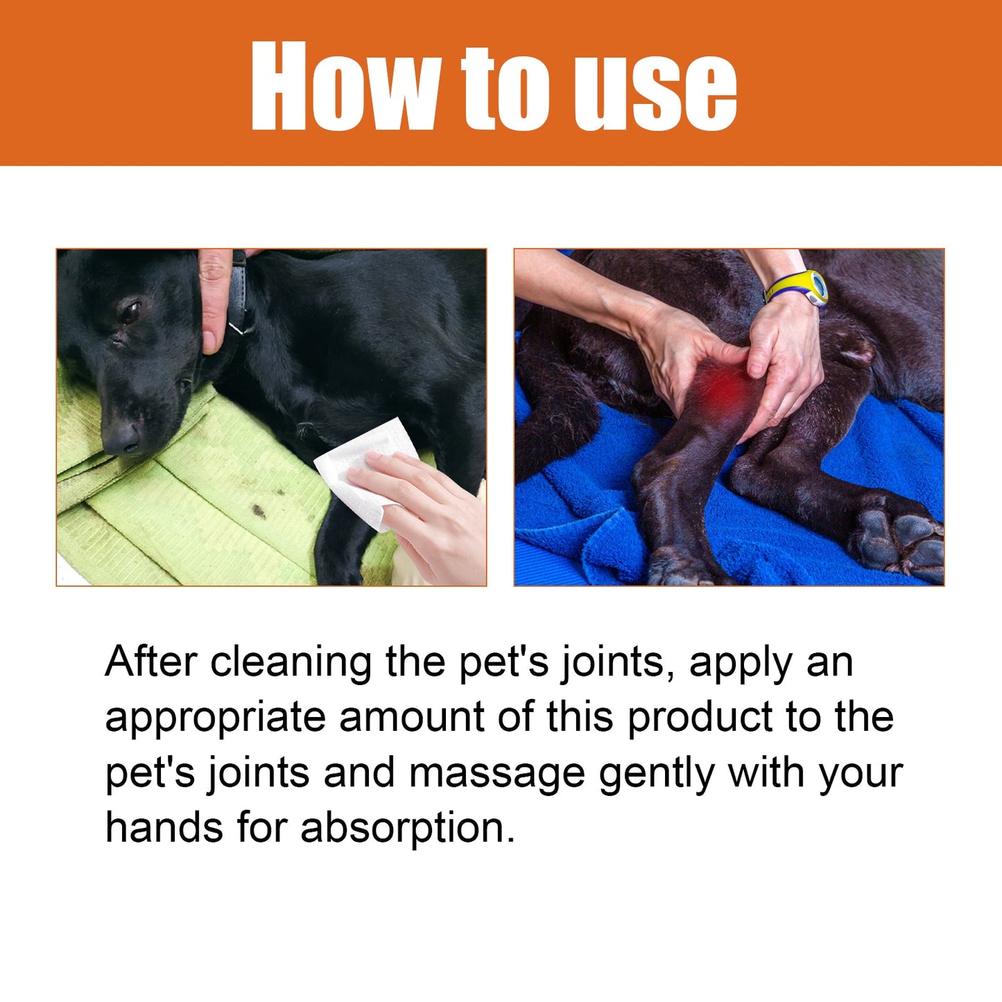 Pet Bee Venom Joint Care Oil – Vitamin K2 & Arnica Relief for Dogs & Cats