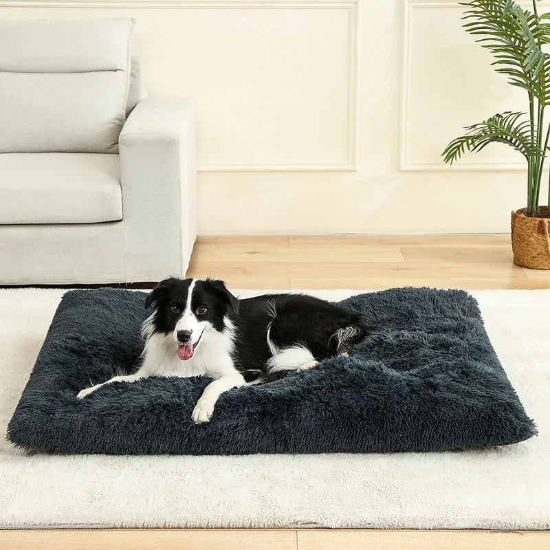 Orthopedic Plush Dog Bed | Soft Grey Sleeping Pet Sofa Mat