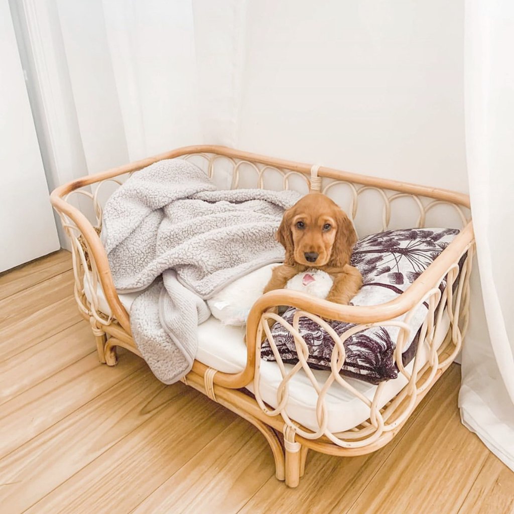 Handmade Rattan Dog Bed | Elevated Comfort & Boho Style Pet Couch