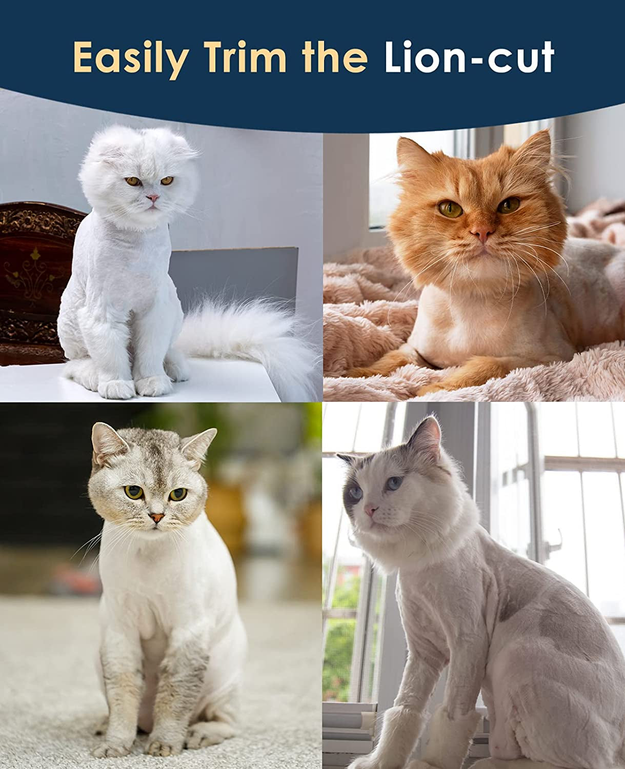Cat Grooming Clippers with Guards, Oneisall Cordless Kit | Quiet Trims