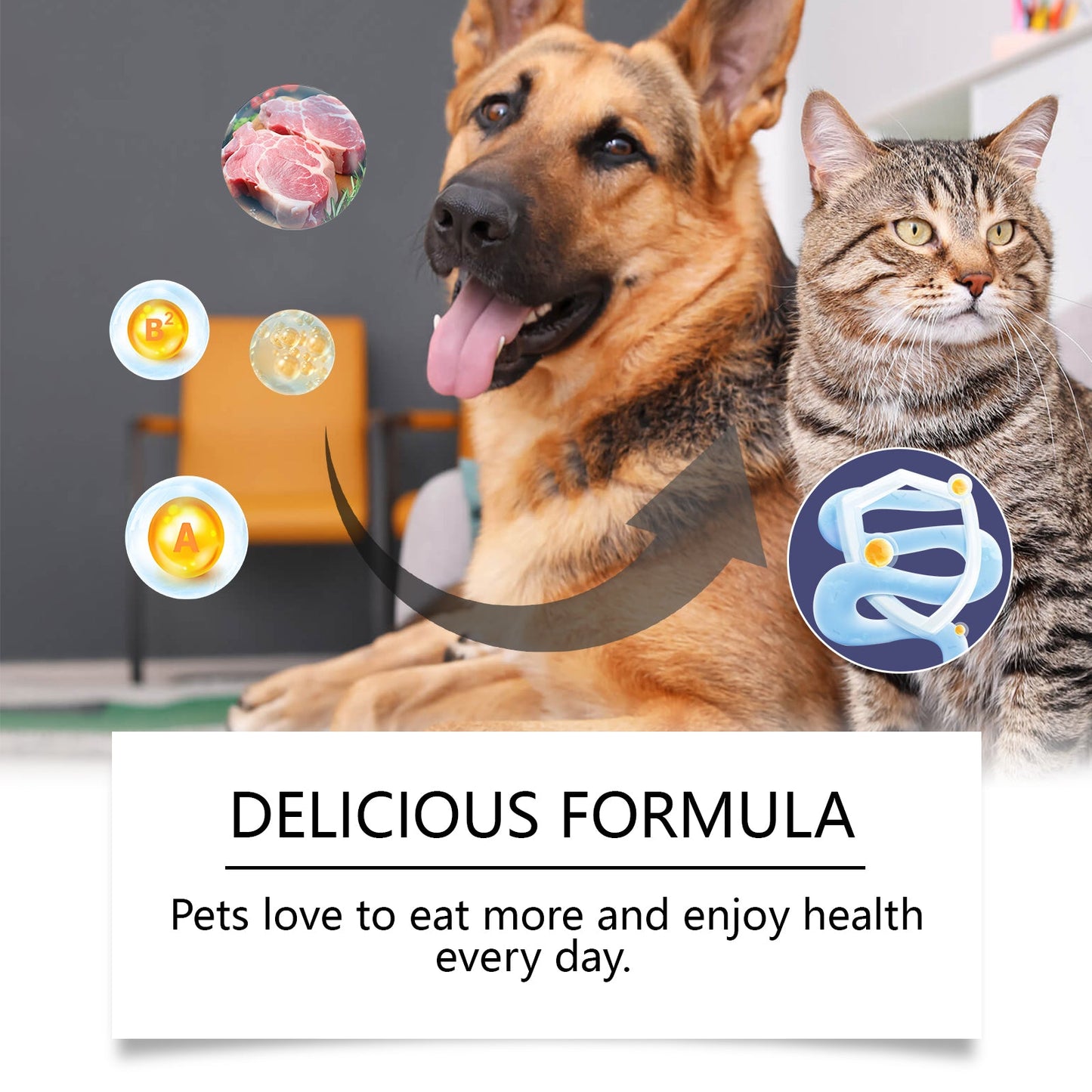 General Compound Probiotic Tablets for Dogs and Cats: Digestive Support with Vitamin B2