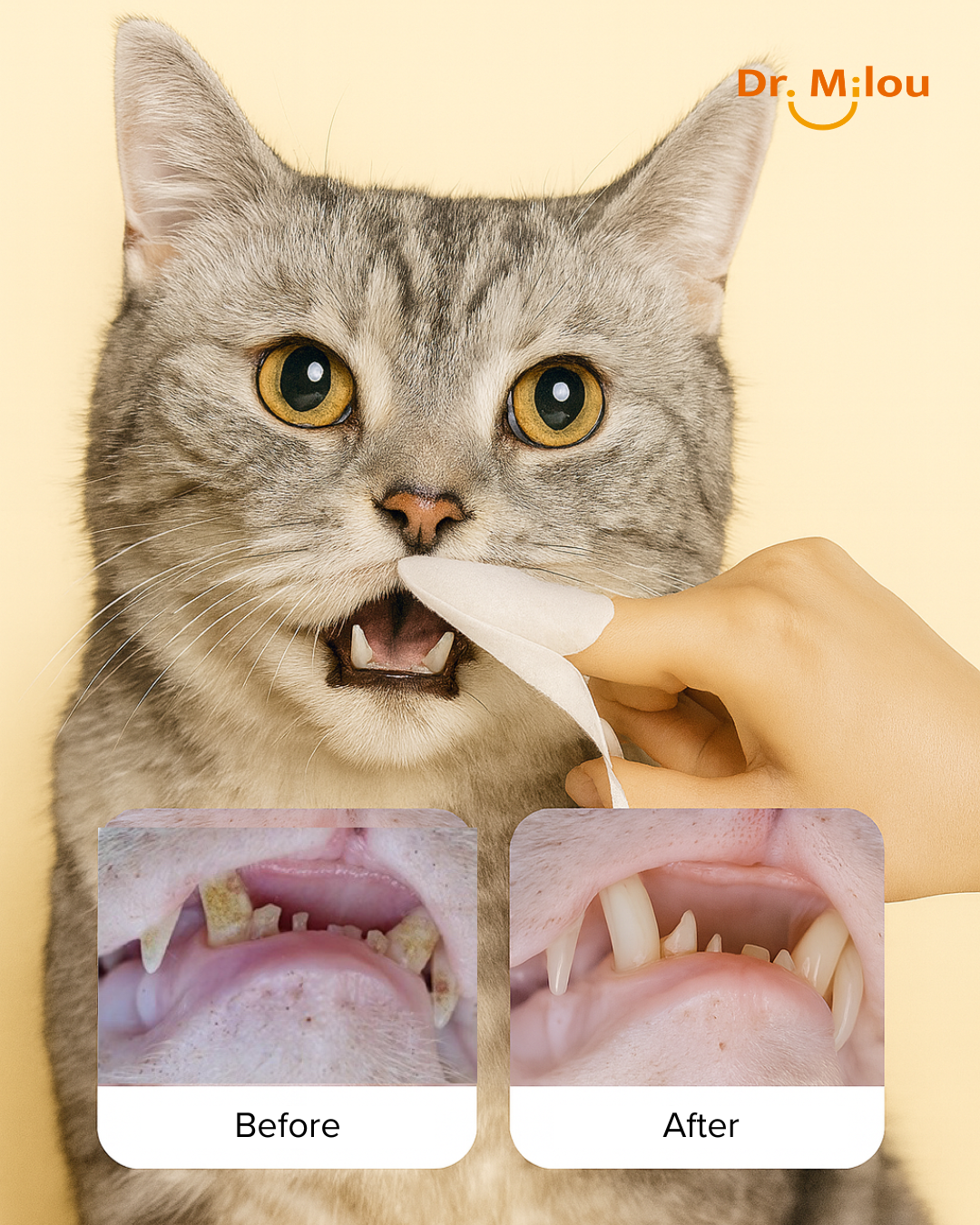 Dr. Milou Pet Dental Finger Wipes:  Individually Wrapped Oral Care for Dogs & Cats