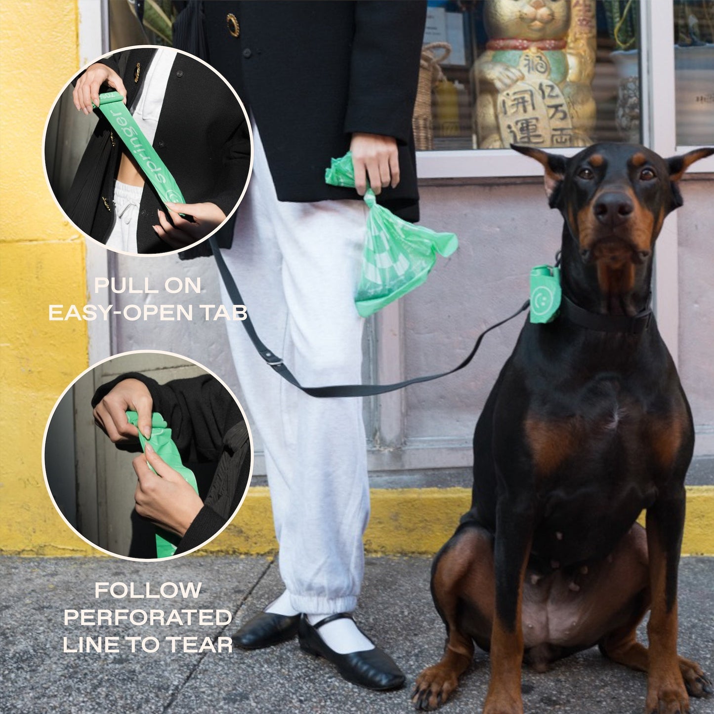Premium Dog Poop Bag Dispenser with 15 Leak-Proof Bags