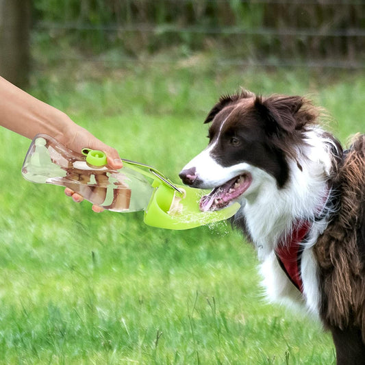 Portable Dog Water Bottle With Poop Bag Holder | 20 Oz Set