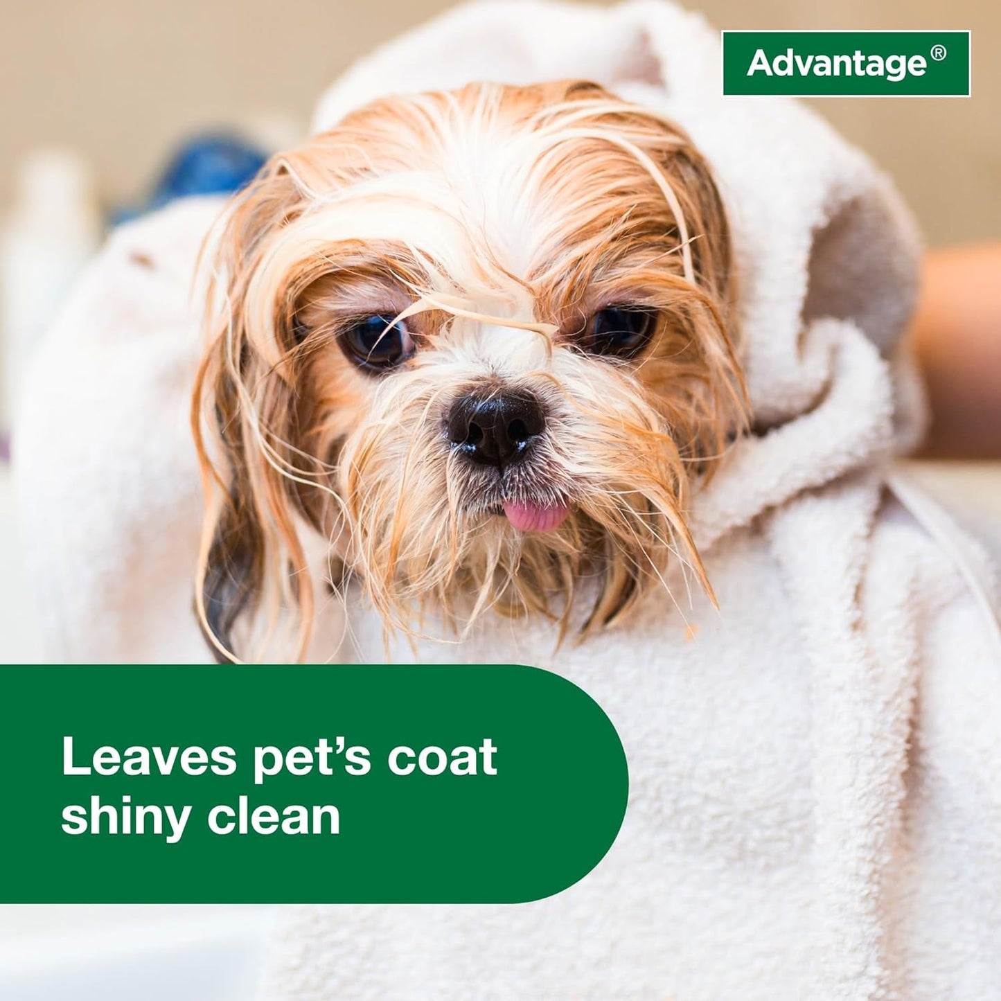 Advantage Flea and Tick Treatment Shampoo for Dogs and Puppies | 12 oz Bottle