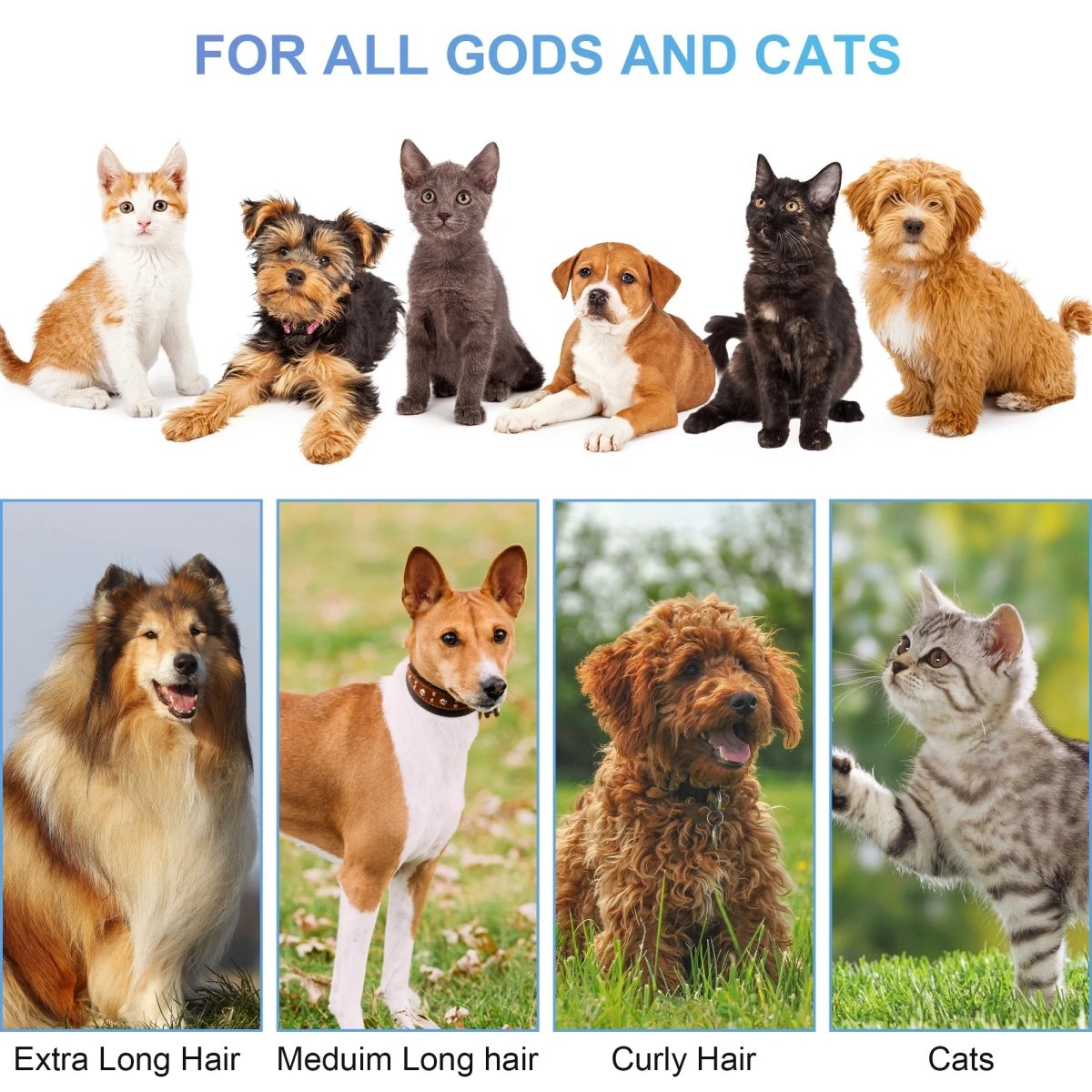 Dog Grooming Kit & Vacuum | Pet Grooming Vacuum with 14KPa Suction