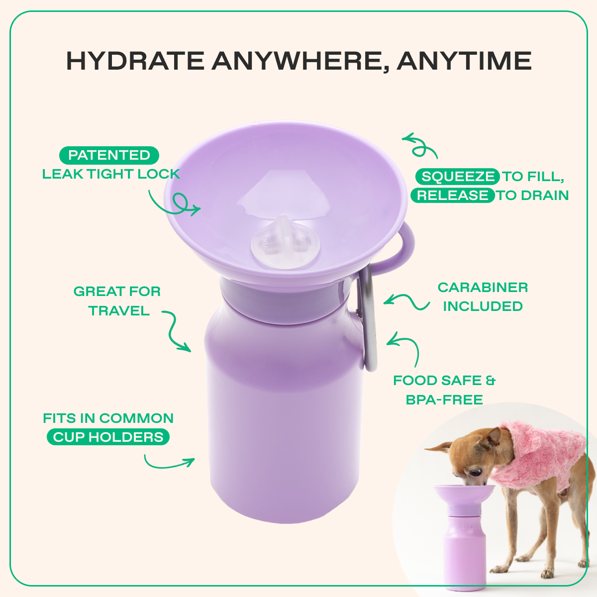 15oz Original Dog Travel Water Bottle for On-the-Go Hydration