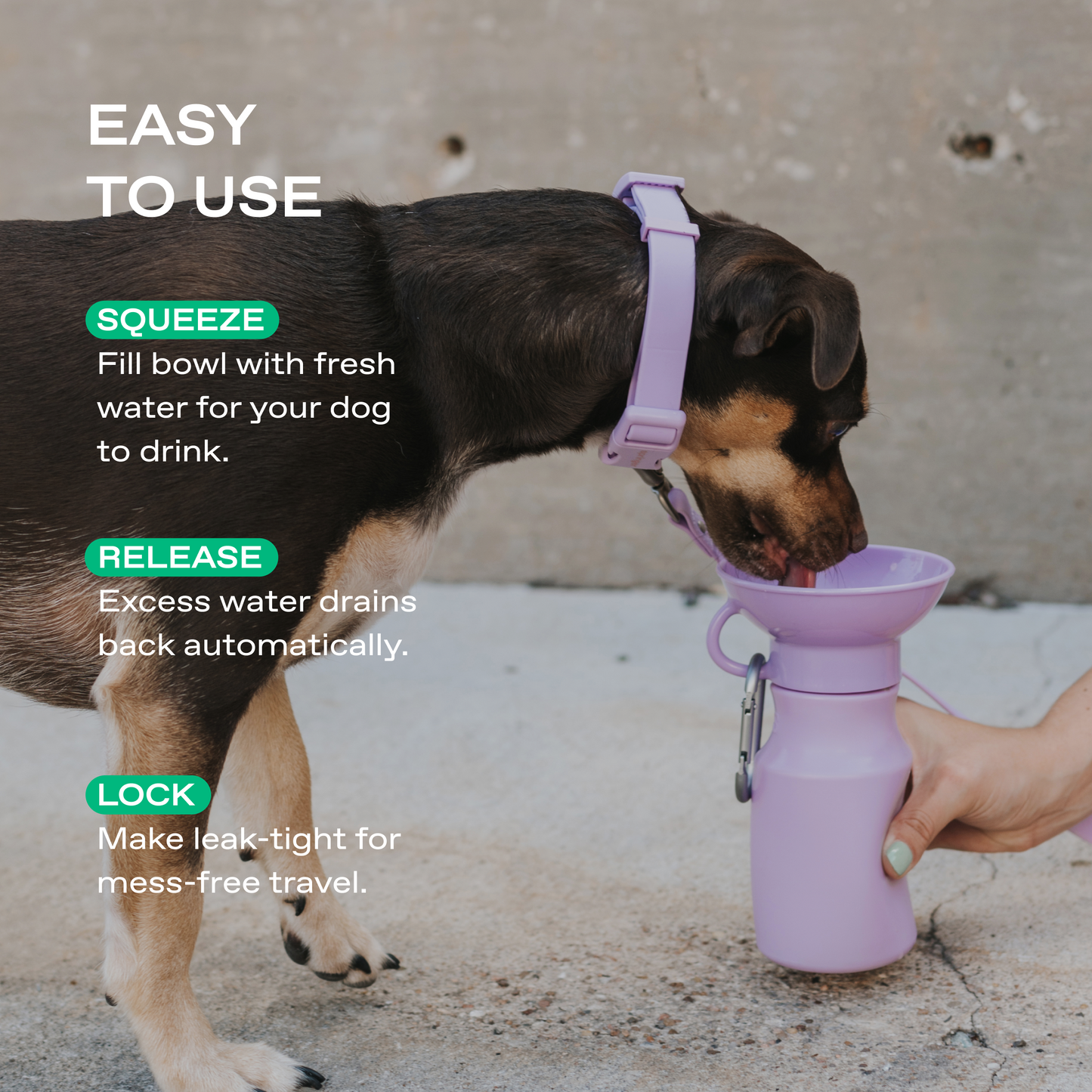 15oz Original Dog Travel Water Bottle for On-the-Go Hydration