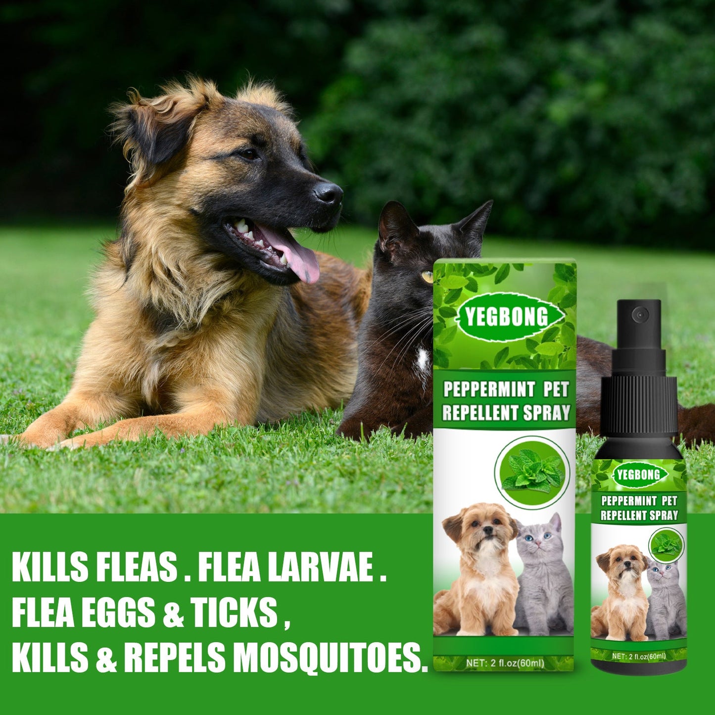 Peppermint Pet Repellent Spray for Dogs and Cats | Natural Flea and Mite Control