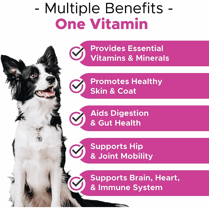 Comprehensive 10-in-1 Dog Multivitamin: Joint Support with Glucosamine | 120 Count