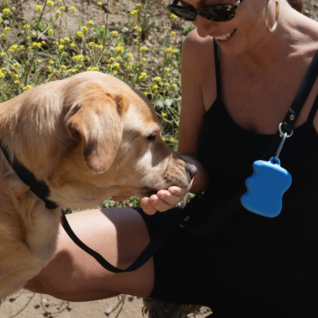 Silicone Dog Treat Dispenser for Training and Walk
