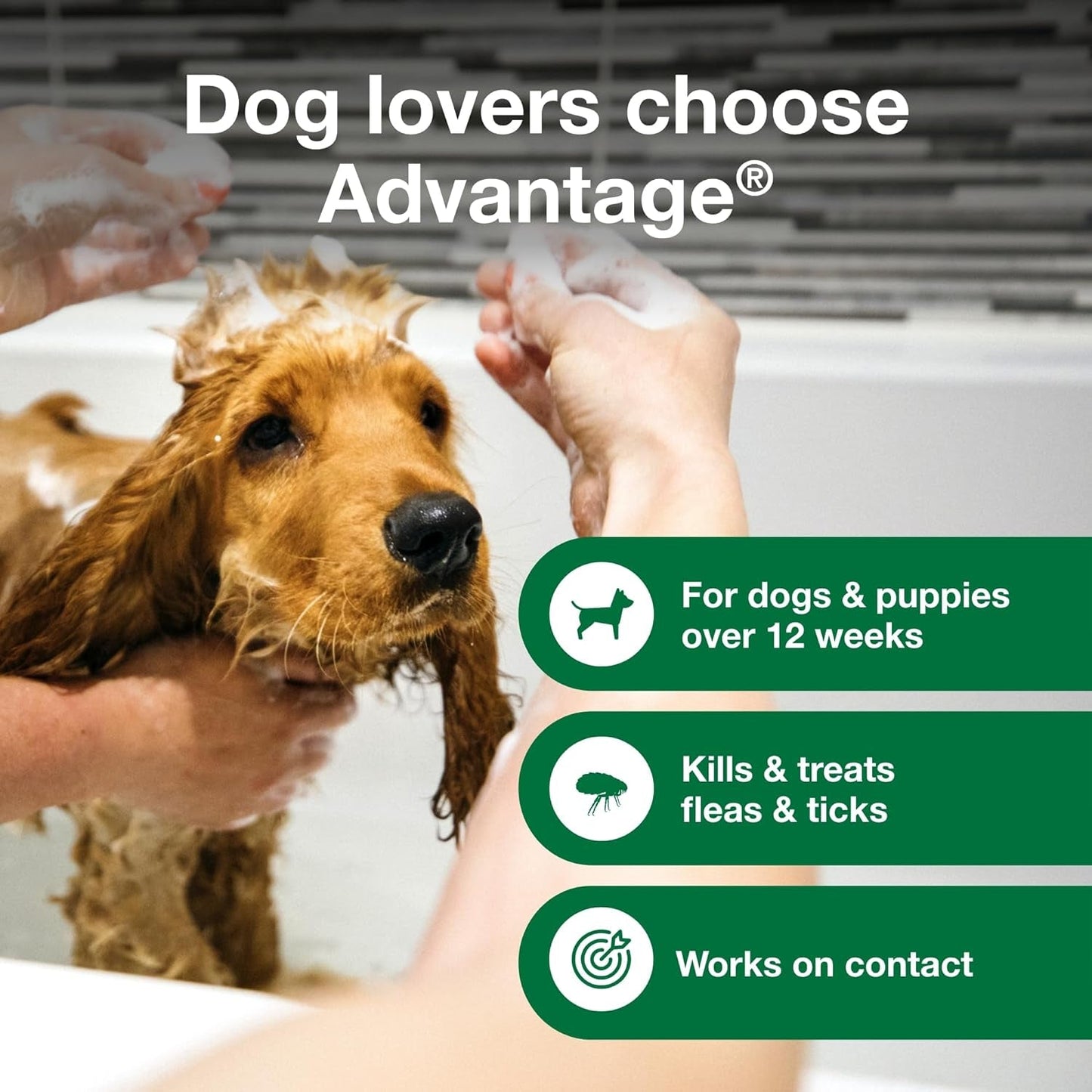 Advantage Flea and Tick Treatment Shampoo for Dogs and Puppies | 12 oz Bottle