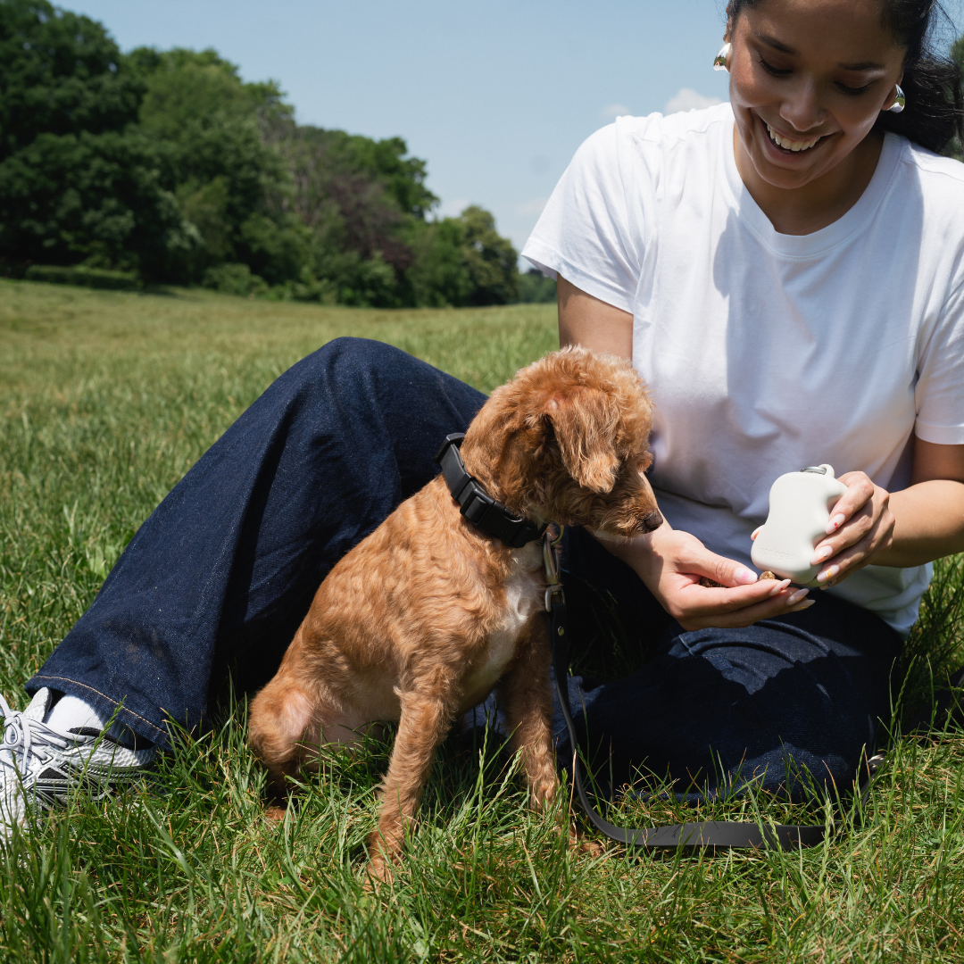 Silicone Dog Treat Dispenser for Training and Walk