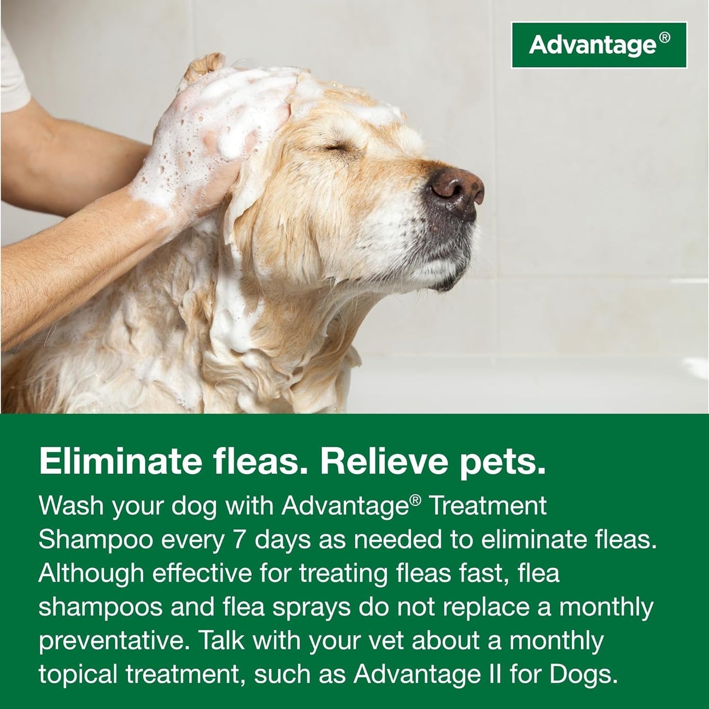 Advantage Flea and Tick Treatment Shampoo for Dogs and Puppies | 12 oz Bottle