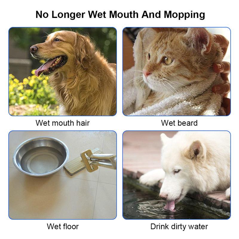 No Spill Dog Water Bowl With Floating Tray | Spill-Proof