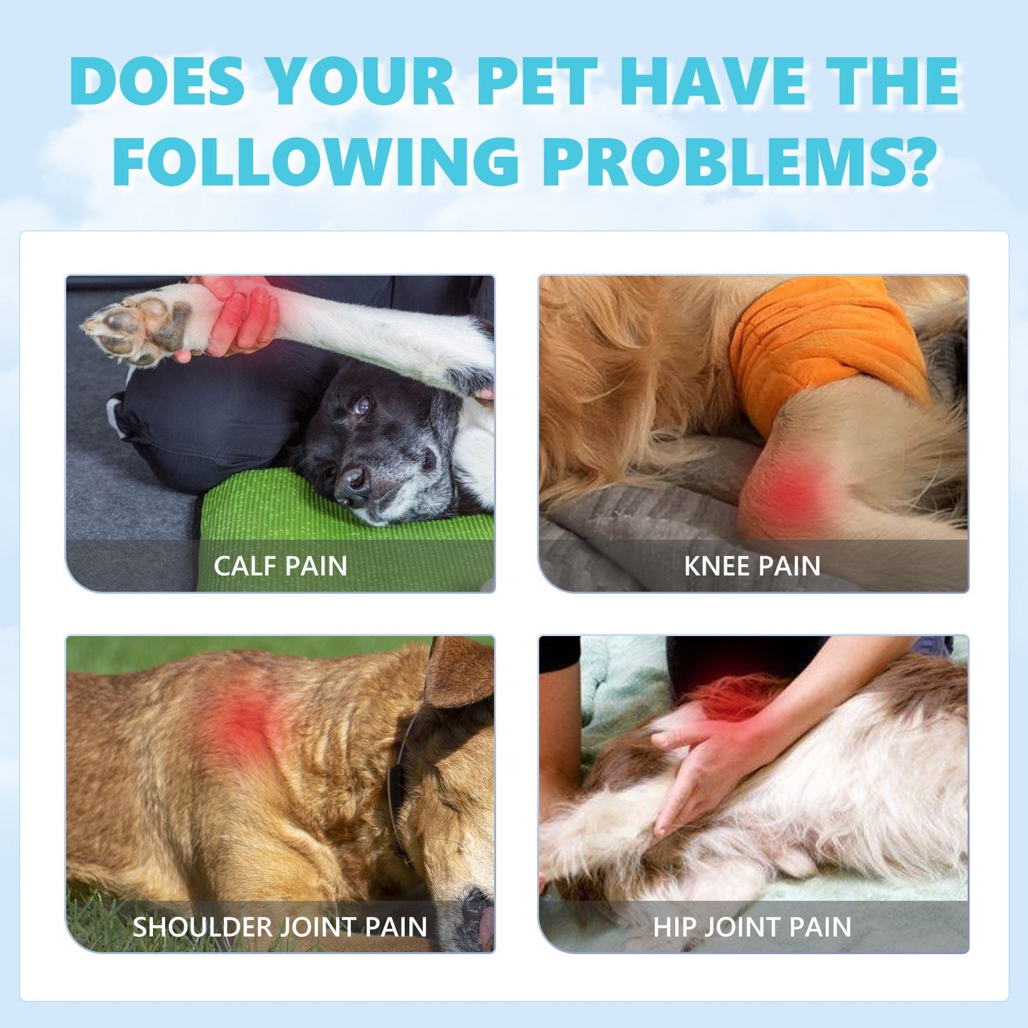 Pet Glucosamine Drops for Joint Pain – Turmeric and Chondroitin Relief for Dogs & Cats