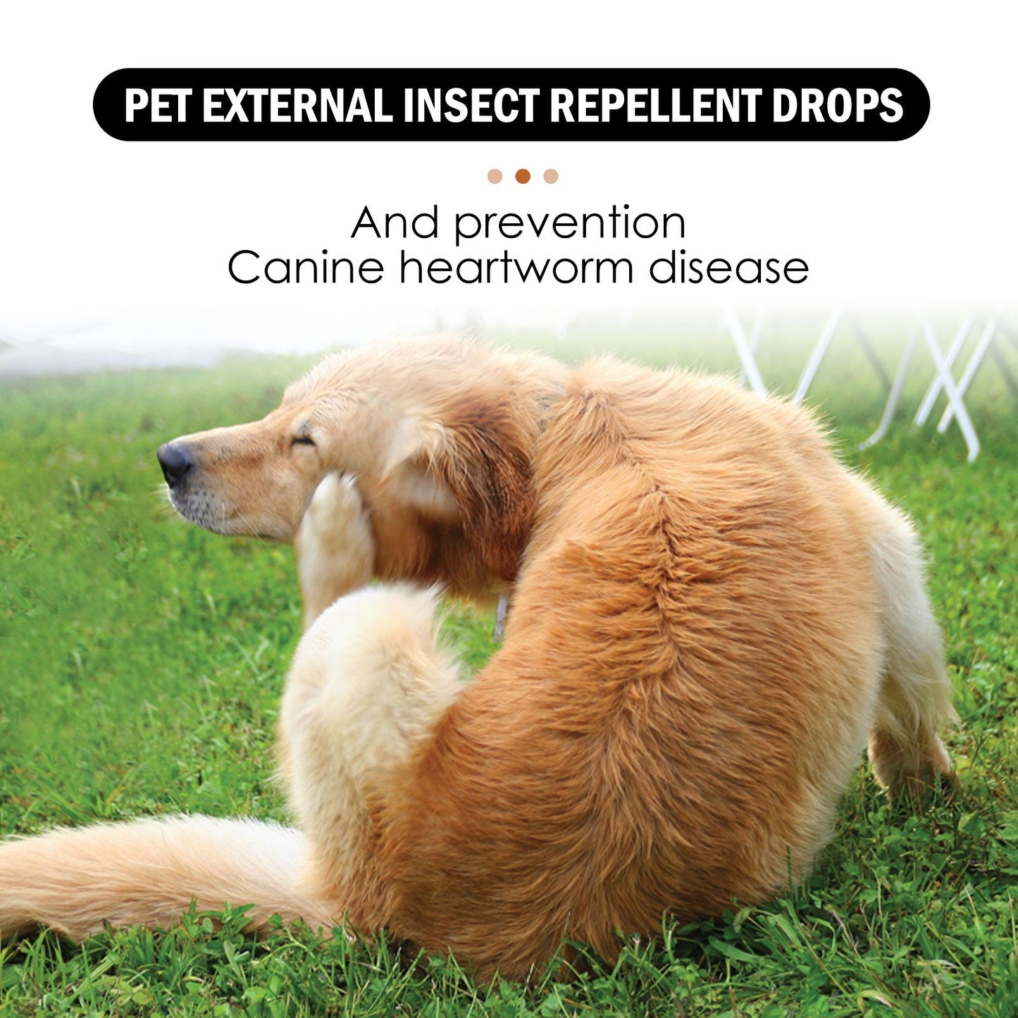 Pet Extracorporeal Insect Repellent Drops for Cats and Dogs | Flea and Tick Removal