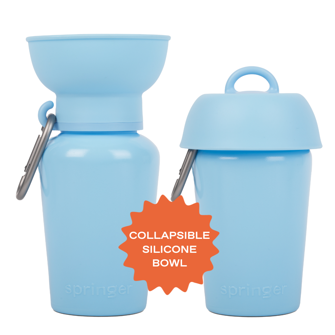 20oz Flip Dog Travel Water Bottle with Fold-Out Bowl