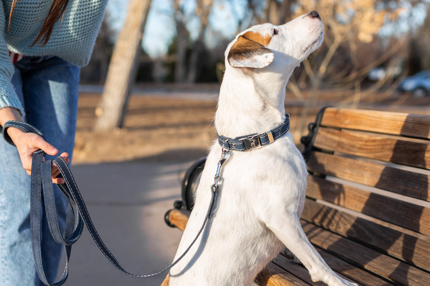 Blue Jeans Full-Grain Leather Dog Leash with European Steel Snap | Pro Line Hunting