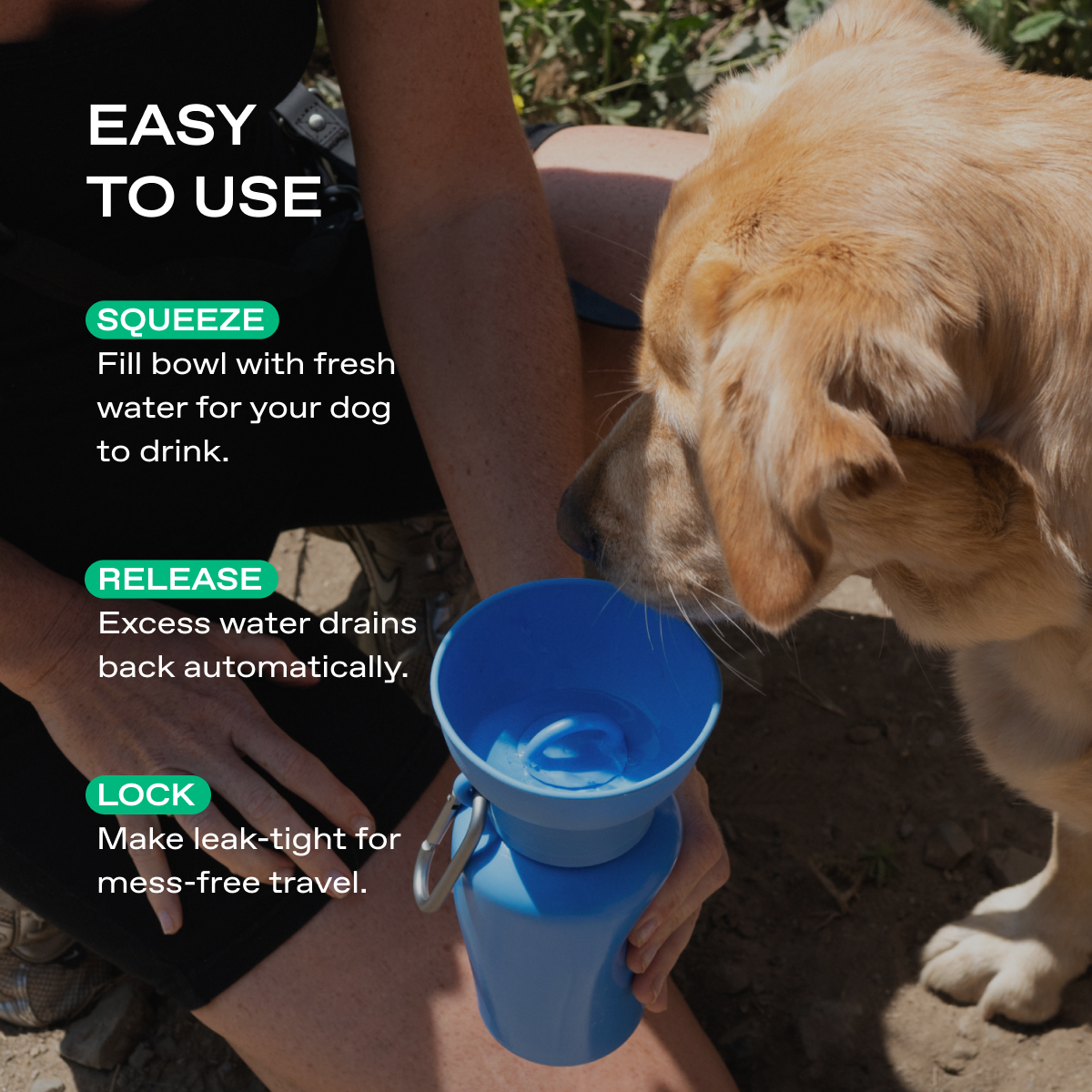 20oz Flip Dog Travel Water Bottle with Fold-Out Bowl
