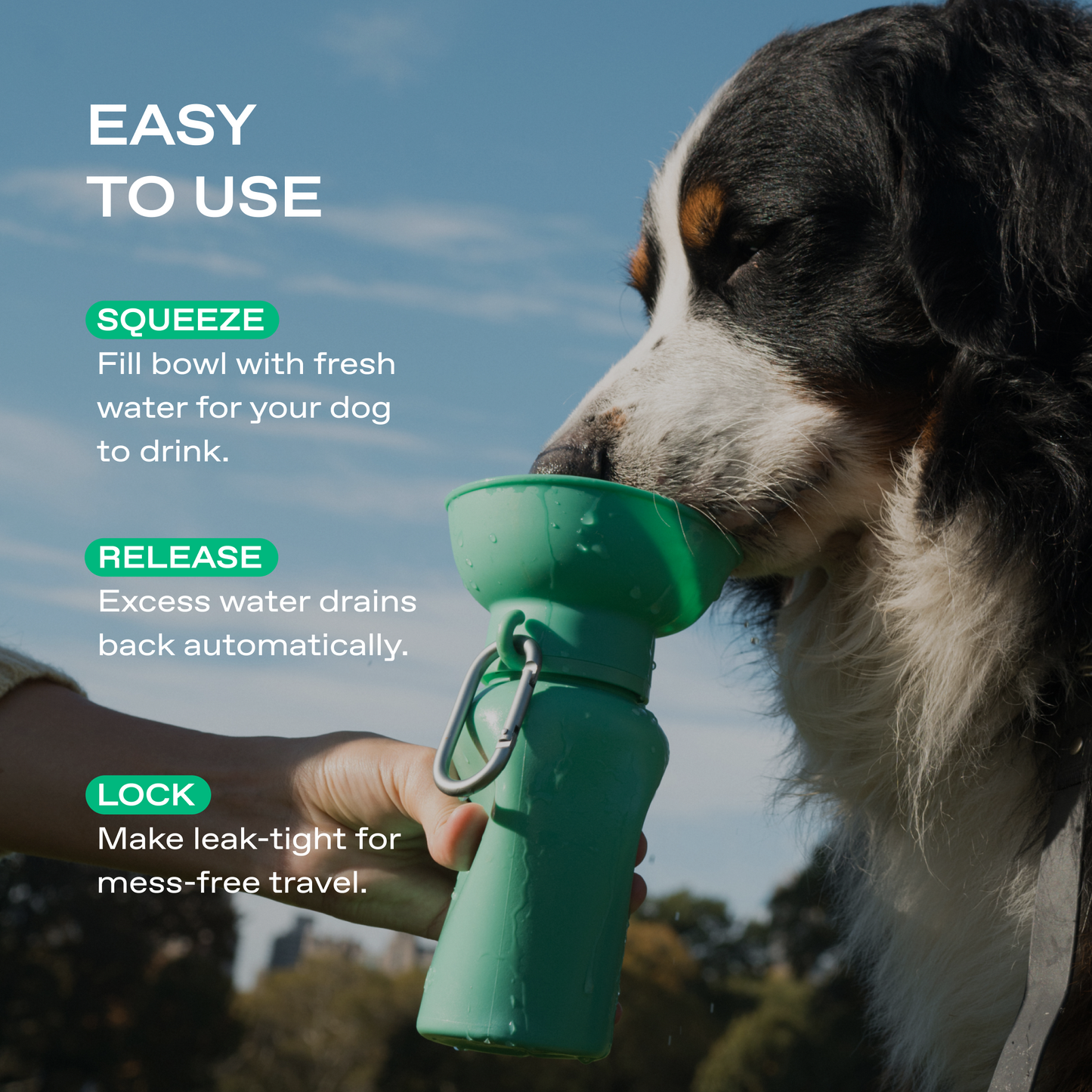 20oz Flip Dog Travel Water Bottle with Fold-Out Bowl