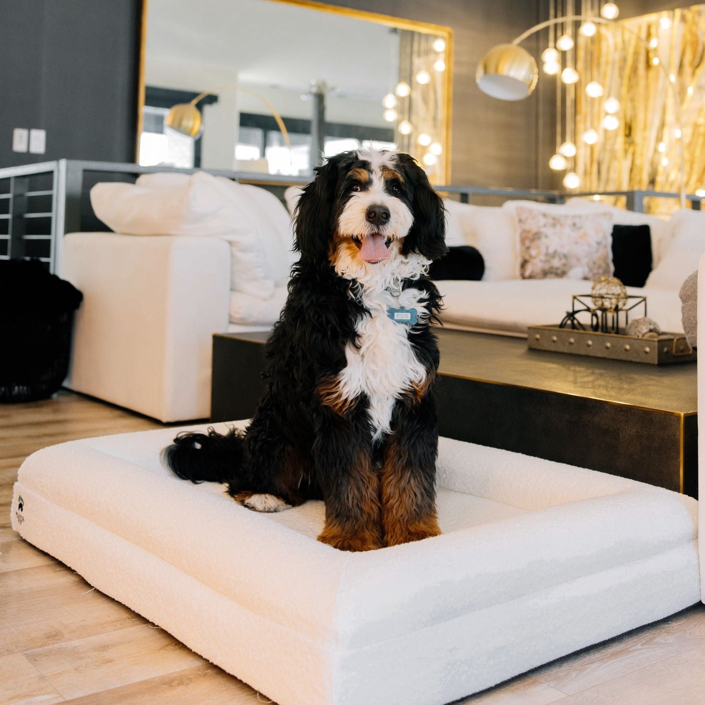 Luxury Orthopedic Dog Bed With Waterproof Liner
