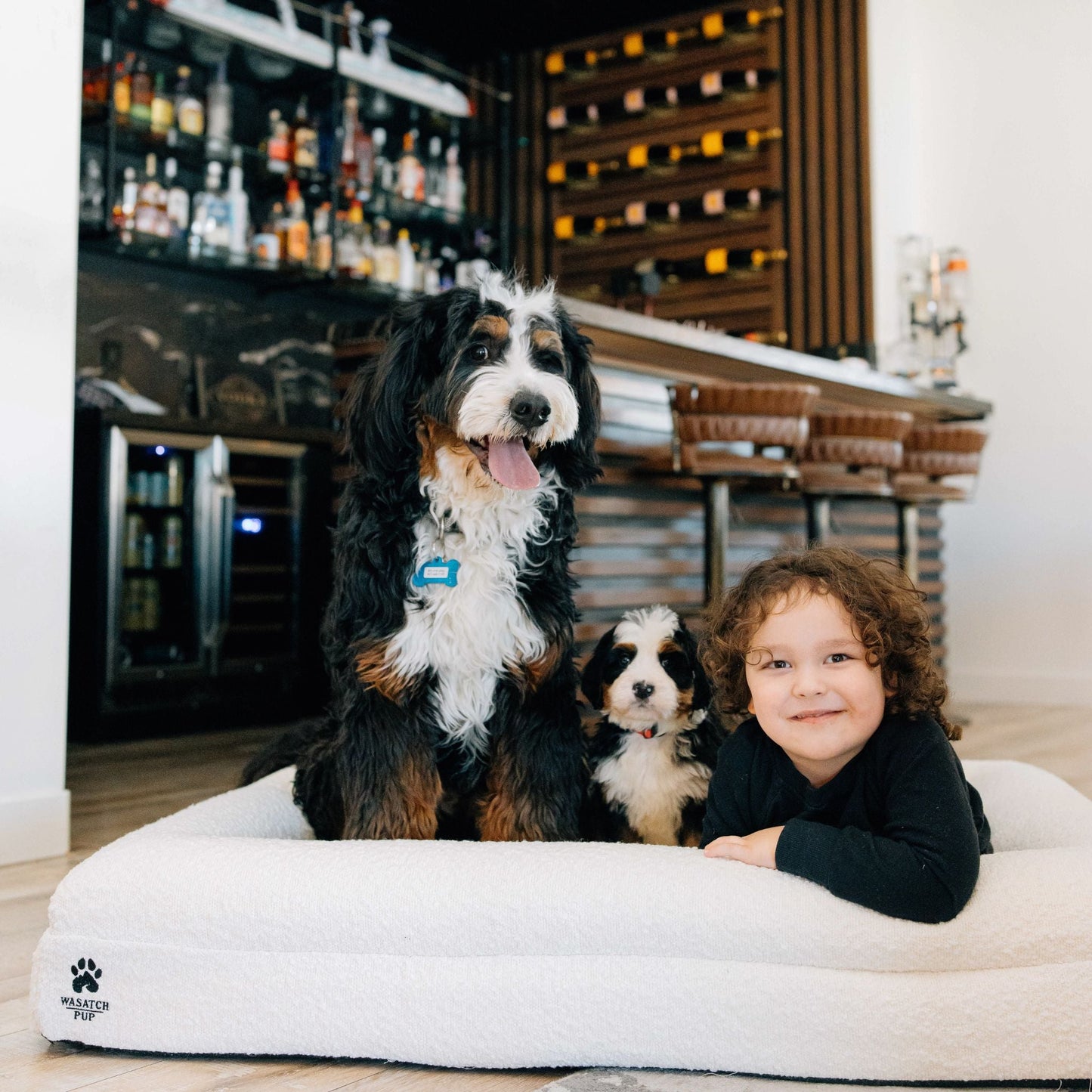 Luxury Orthopedic Dog Bed With Waterproof Liner