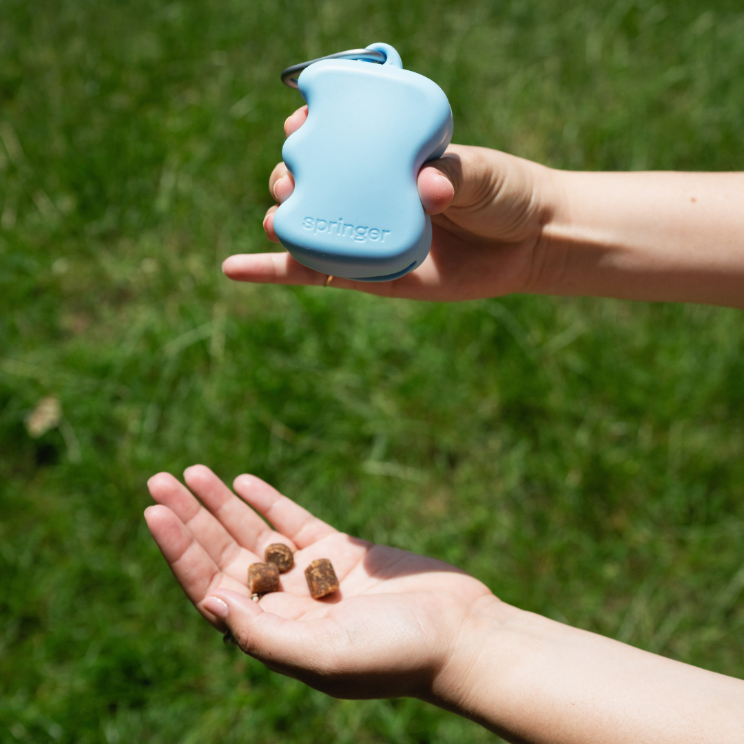 Silicone Dog Treat Dispenser for Training and Walk