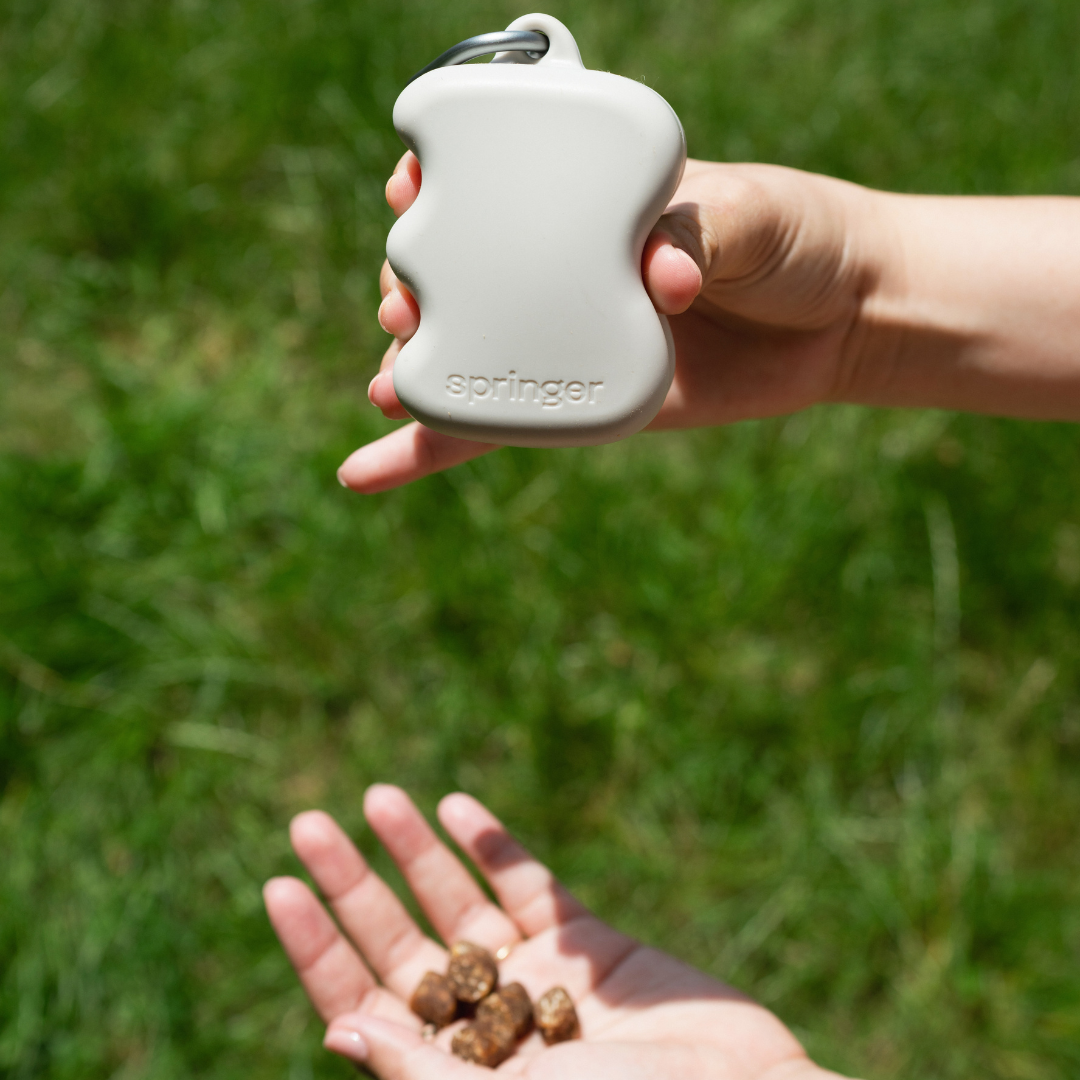 Silicone Dog Treat Dispenser for Training and Walk
