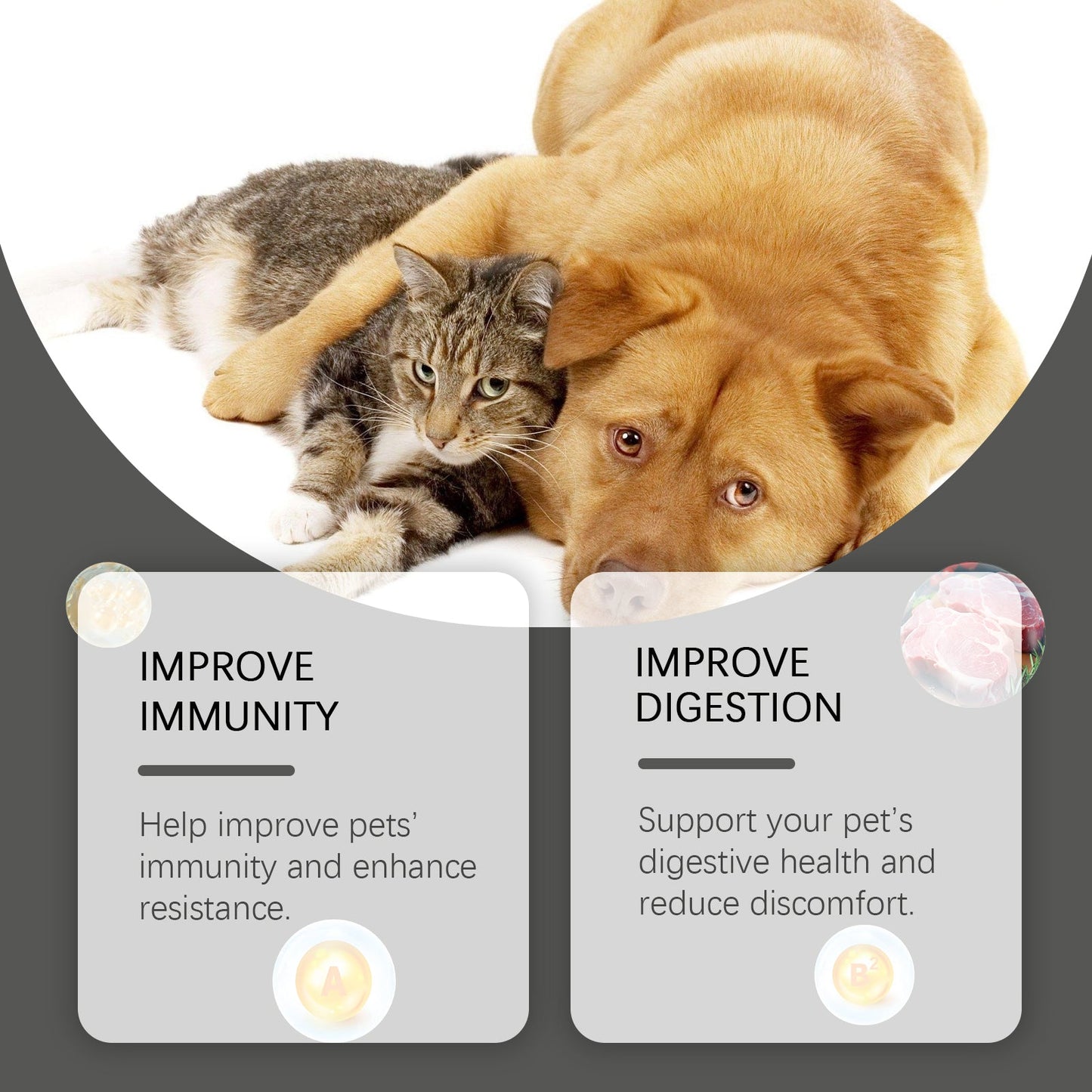 General Compound Probiotic Tablets for Dogs and Cats: Digestive Support with Vitamin B2