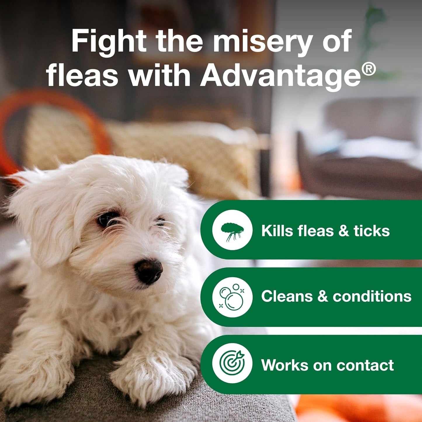 Advantage Flea and Tick Treatment Shampoo for Dogs and Puppies | 12 oz Bottle