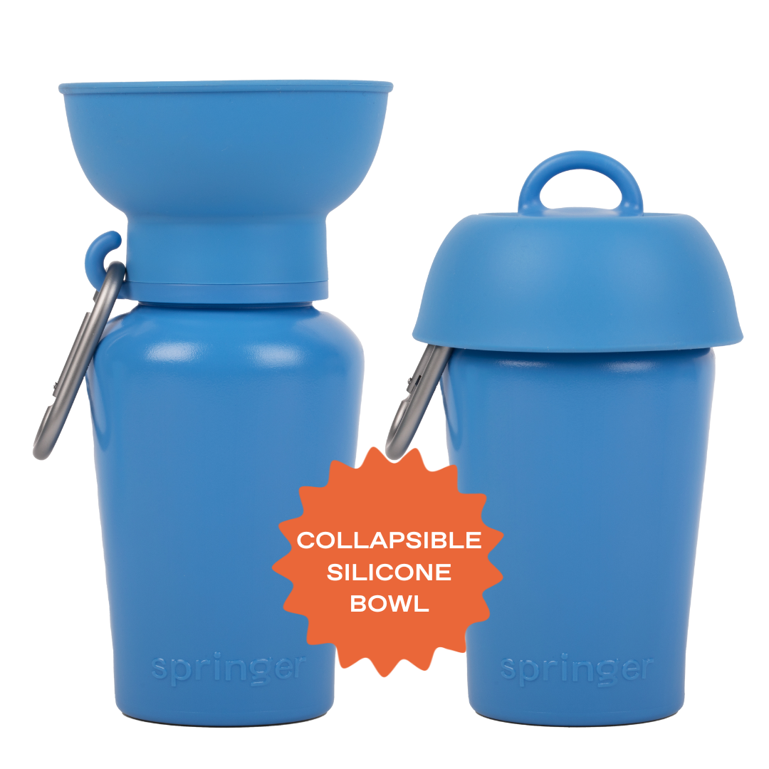 20oz Flip Dog Travel Water Bottle with Fold-Out Bowl