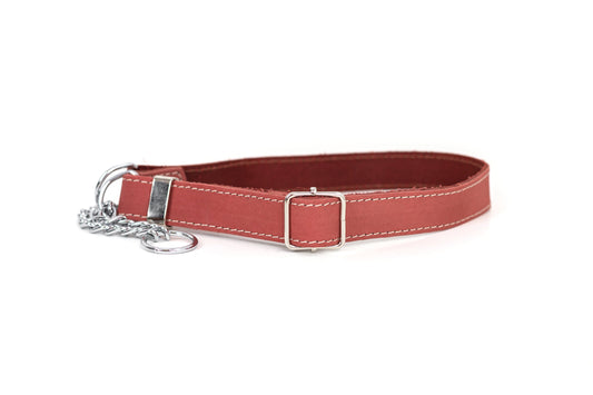 Martingale Coral Reef Leather Dog Collar – Full-Grain Leather, Secure No-Slip Fit