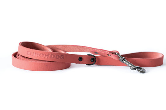 6 Foot Dog Leash - Coral Reef Leather Leash