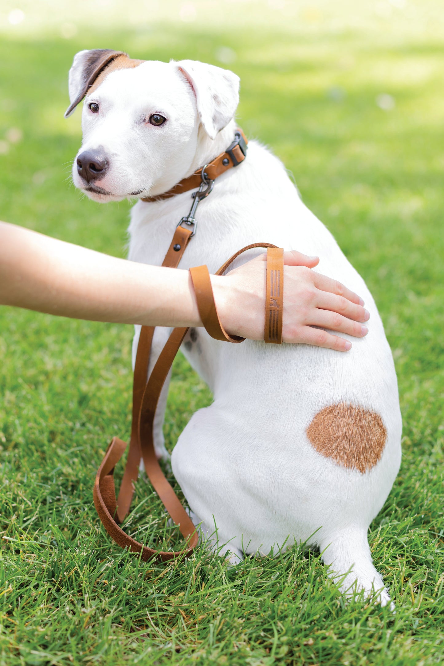 Leather Brown Dog Leash - Premium Full-Grain Leather