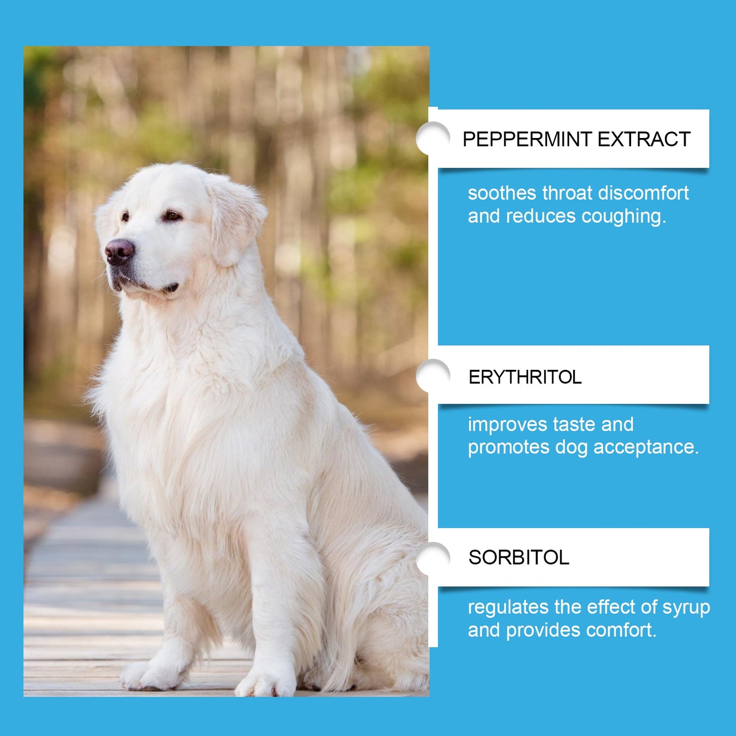 Dog Cough and Respiratory Relief Syrup: Immune Support with Sorbitol & Erythritol