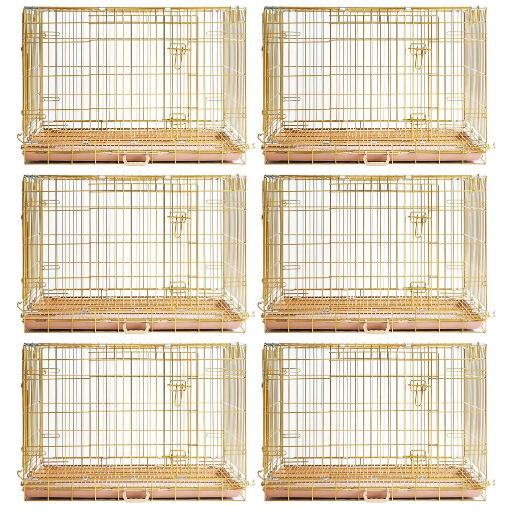 Gold Dog Crate | 24-42" Collapsible Copper Pet Kennel with Leak-Proof Tray