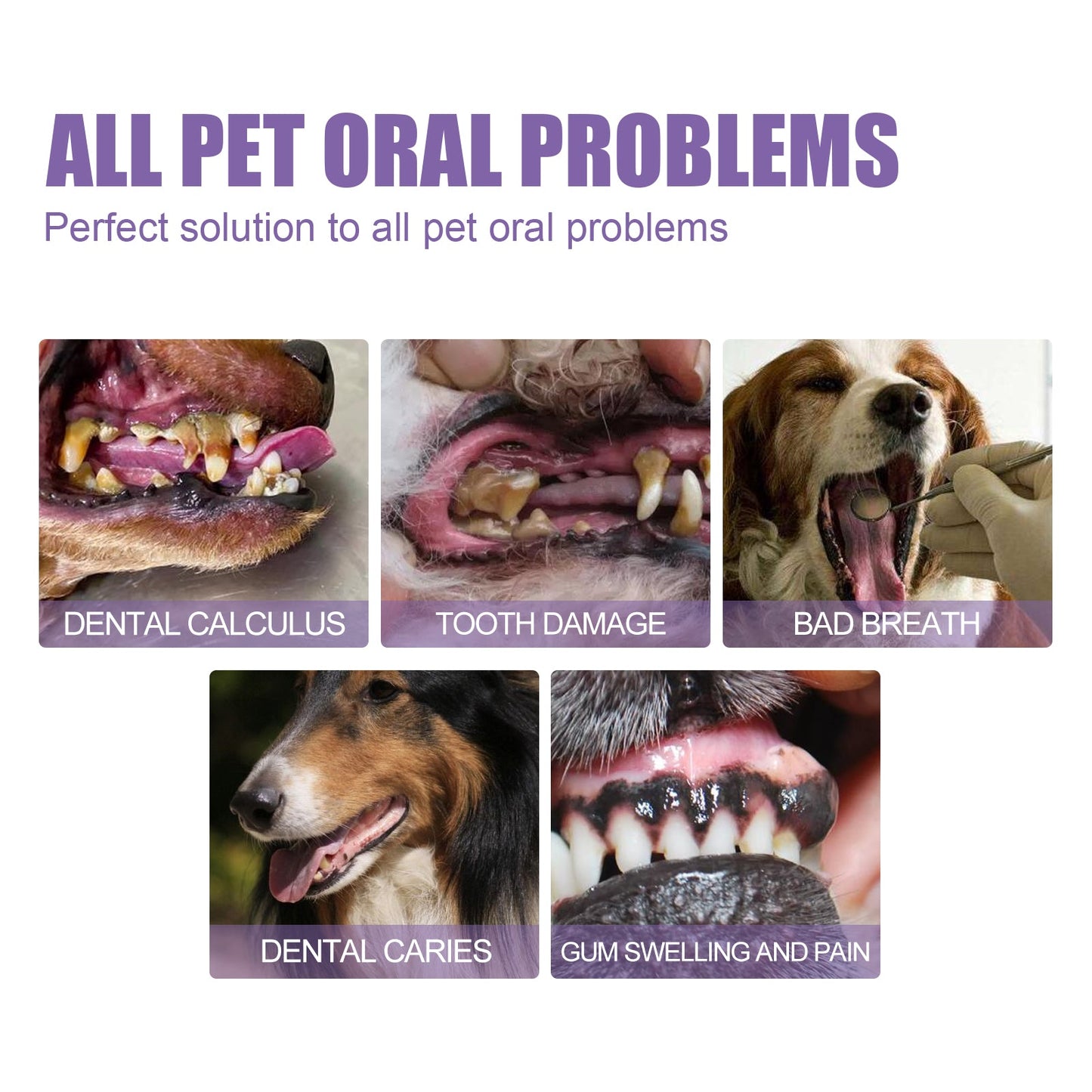 Pet Oral Repair Gel – Deep Cleaning Tooth Stain & Tartar Remover for Dogs and Cats