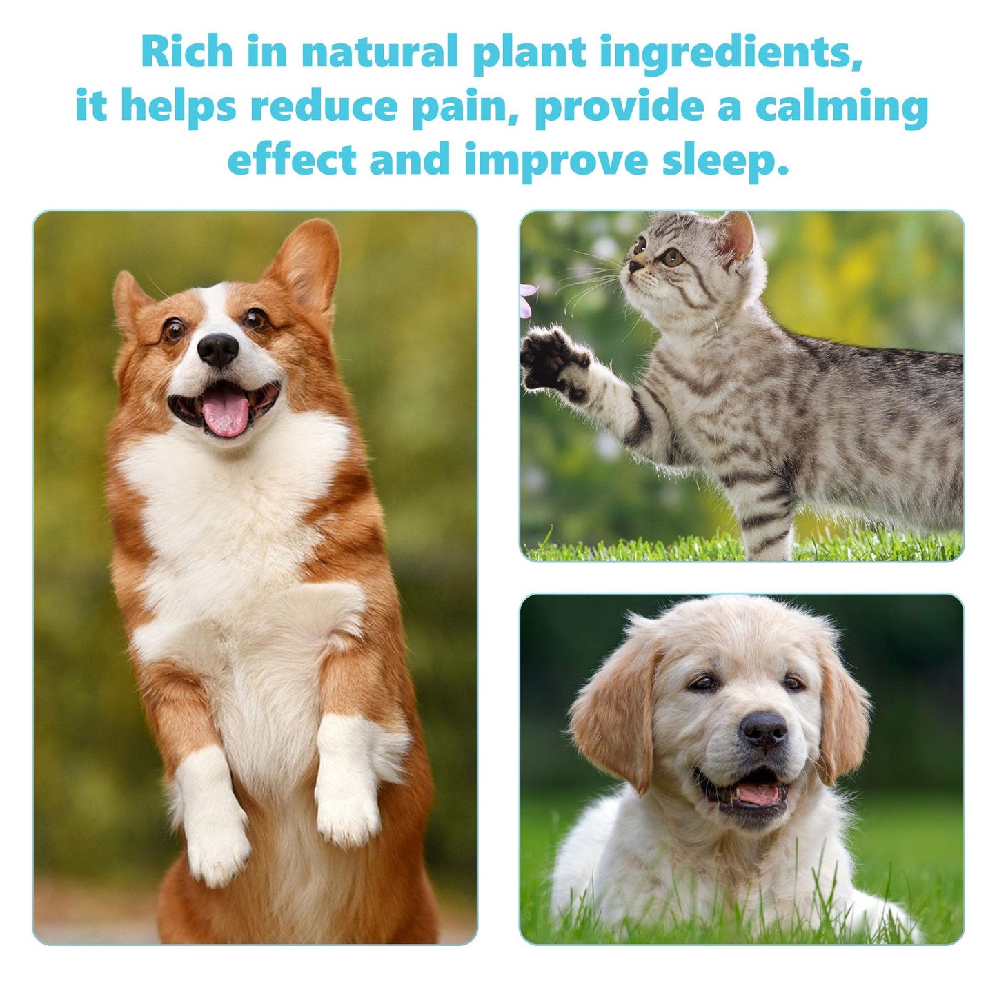 Pet Glucosamine Drops for Joint Pain – Turmeric and Chondroitin Relief for Dogs & Cats