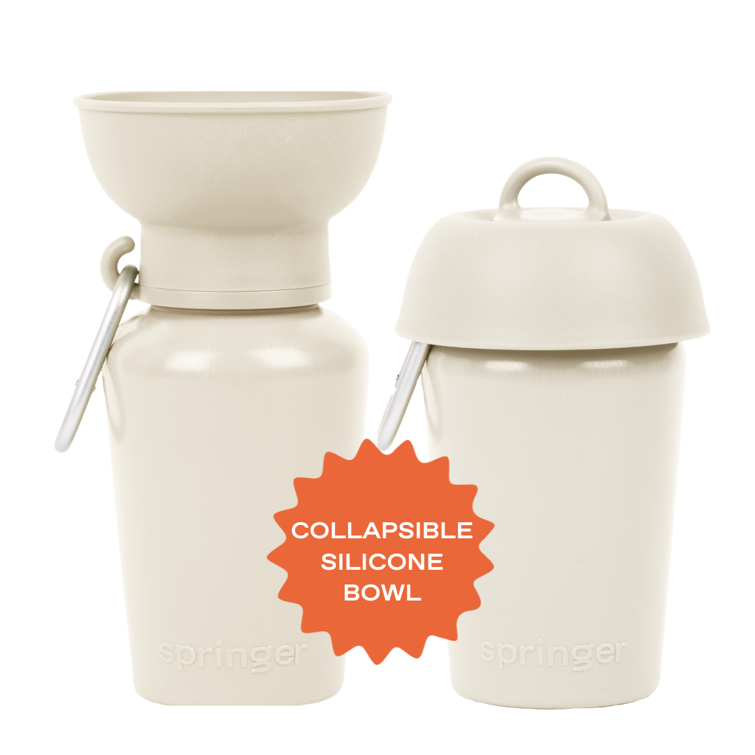 20oz Flip Dog Travel Water Bottle with Fold-Out Bowl