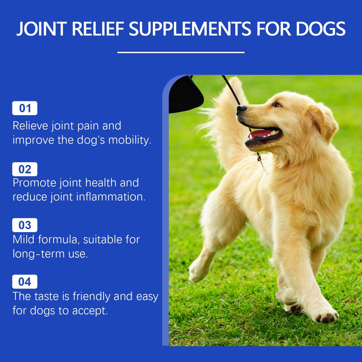 Daily Pet Dog Joint Care Supplement – Liquid Joint Pain Relief & Mobility Agent for Dogs