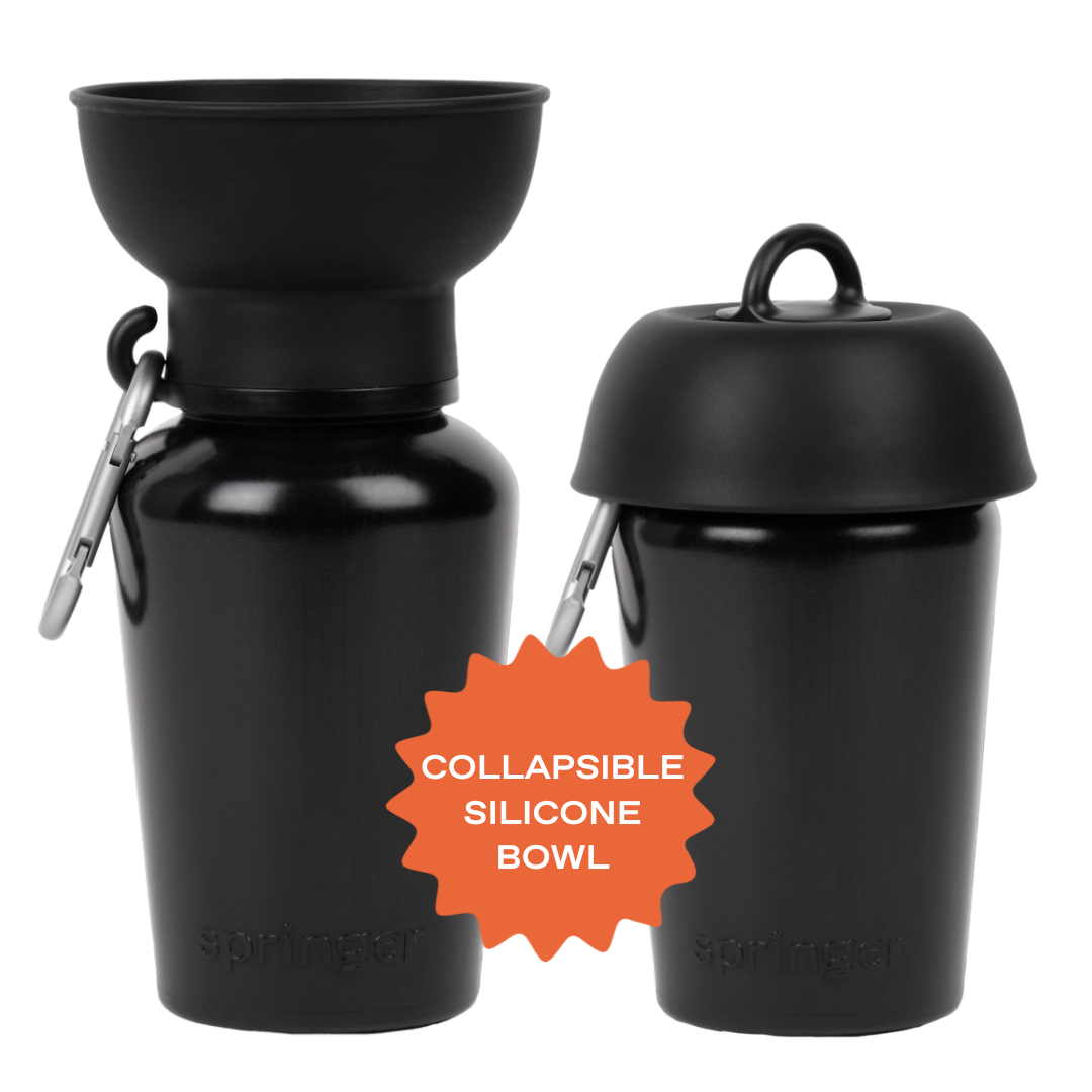 20oz Flip Dog Travel Water Bottle with Fold-Out Bowl