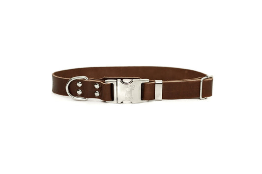 Quick Release Dog Collar - Modern Style Quick-Release Chocolate Leather Dog Collar